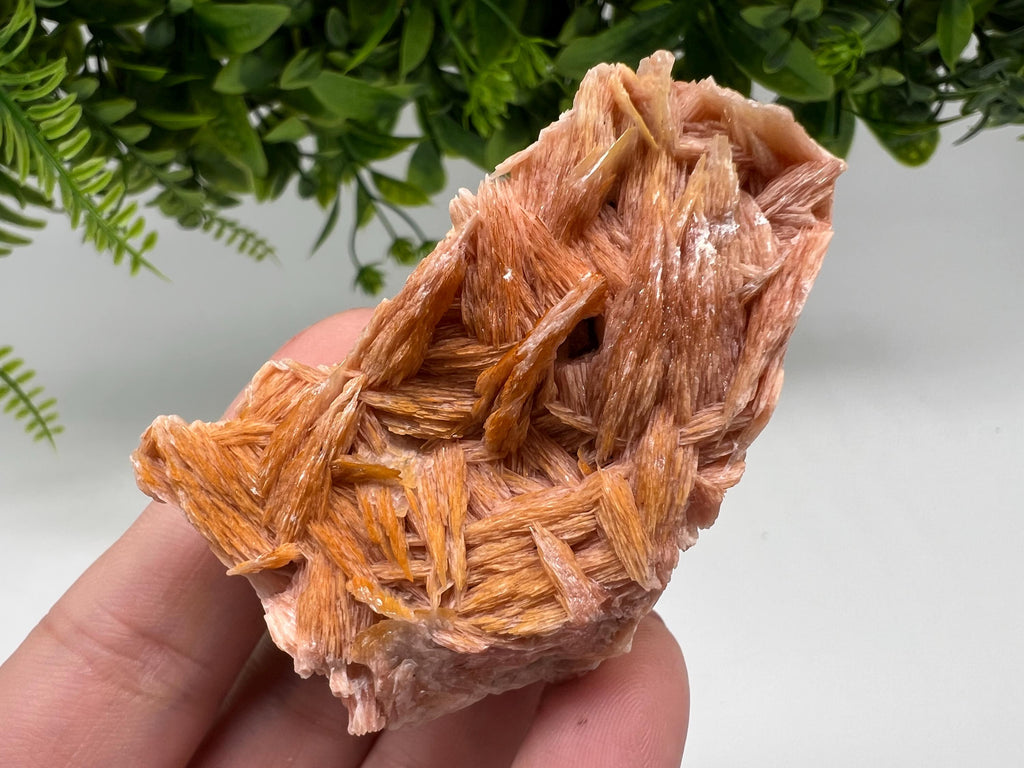 Wonderful Baryte with Cerussite on Galena from Morocco,Crystal, Mineral,Specimen,Cluster,Crystals,Barite Crystal,Cerussite Crystal,Specimen