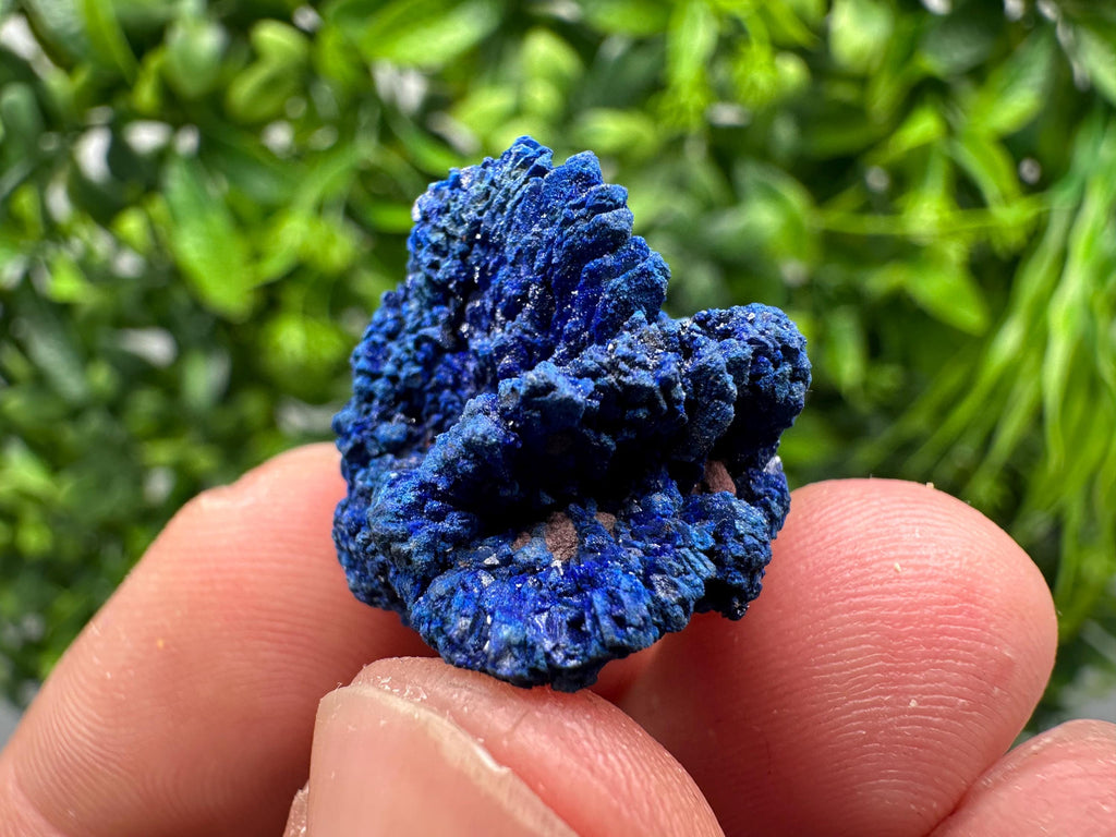 Crystallized Azurite-Kerrouchen,Morocco-Blue Azurite Specimen-High Quality Blue Azurite-Azurite Mineral Specimen, gemmy,lustrous of Azurite