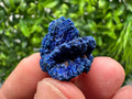 Crystallized Azurite-Kerrouchen,Morocco-Blue Azurite Specimen-High Quality Blue Azurite-Azurite Mineral Specimen, gemmy,lustrous of Azurite