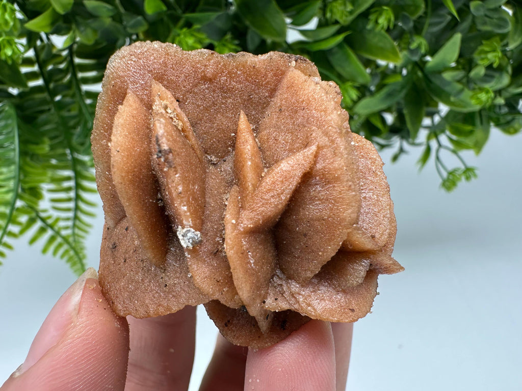 Natural Desert Rose Crystal – Root Chakra Selenite Stone, Home Decor