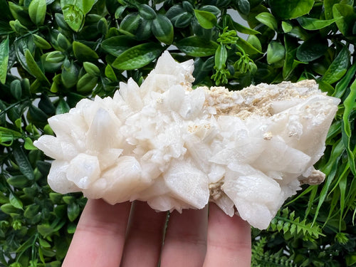 Calcite on Green Quartz: Djurcovo Mine, Bulgaria Healing Crystal