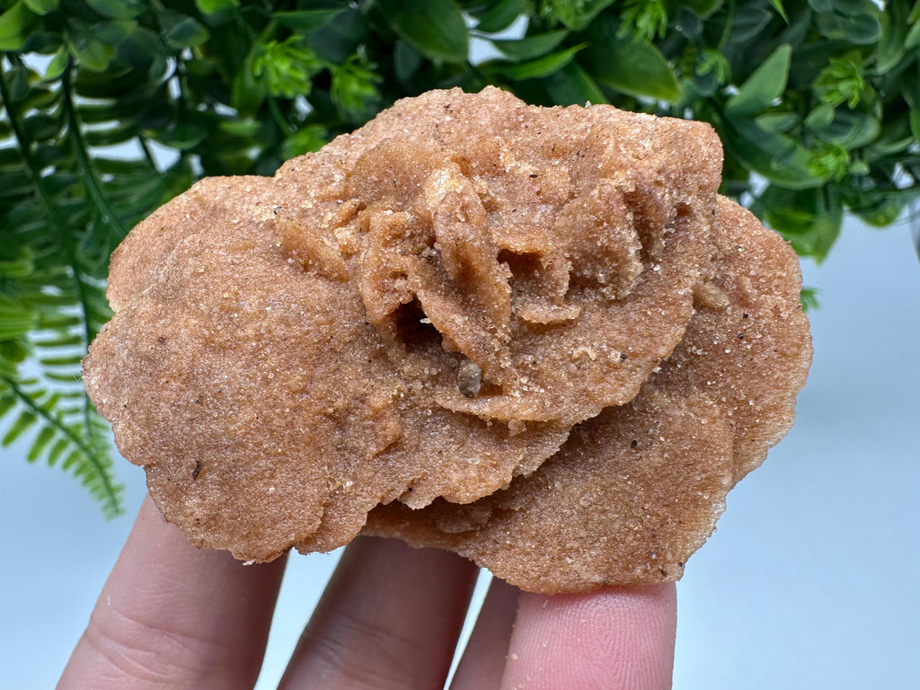 Natural Desert Rose Crystal – Root Chakra Healing Selenite Stone