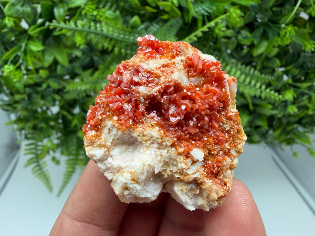 Red Vanadinite on Barite Cluster, Morocco Mineral Specimen