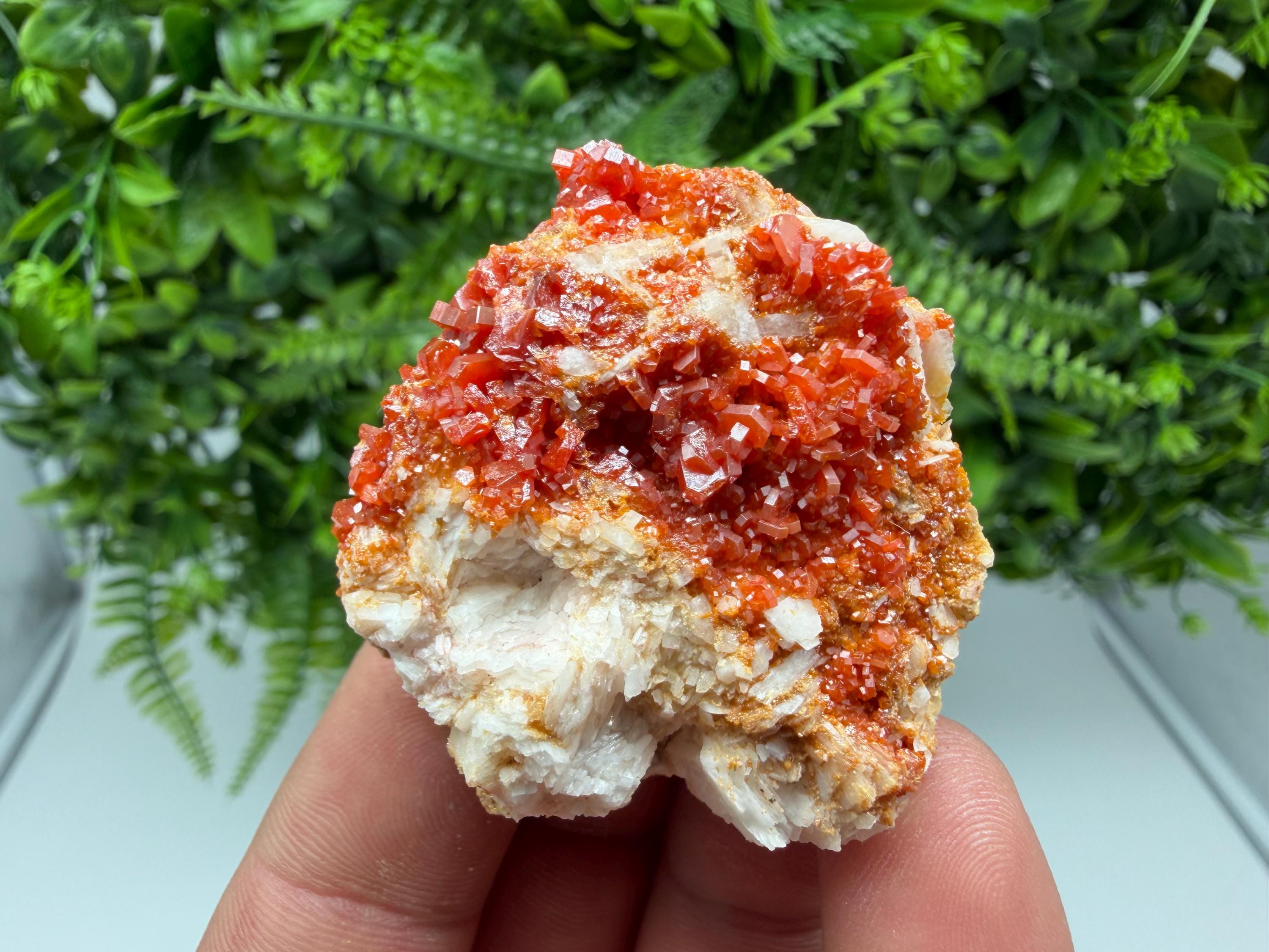 Red Vanadinite on Barite Cluster, Morocco Mineral Specimen