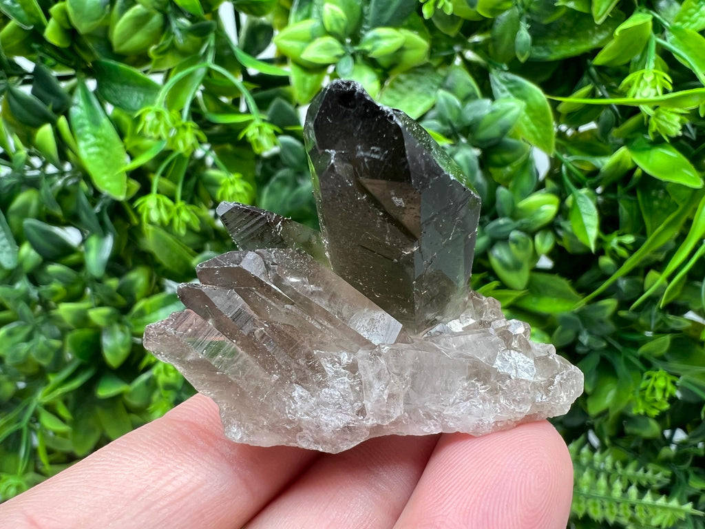 Rare Smoky Quartz,mineral specimen,collection crystal,minerals,Smoky Quartz crystal,from BRAZIL,rare Smoky Quartz,home decor,wholesale,cls