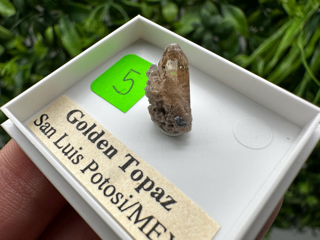 Golden Topaz Crystal, Mineral Specimen from Mexico