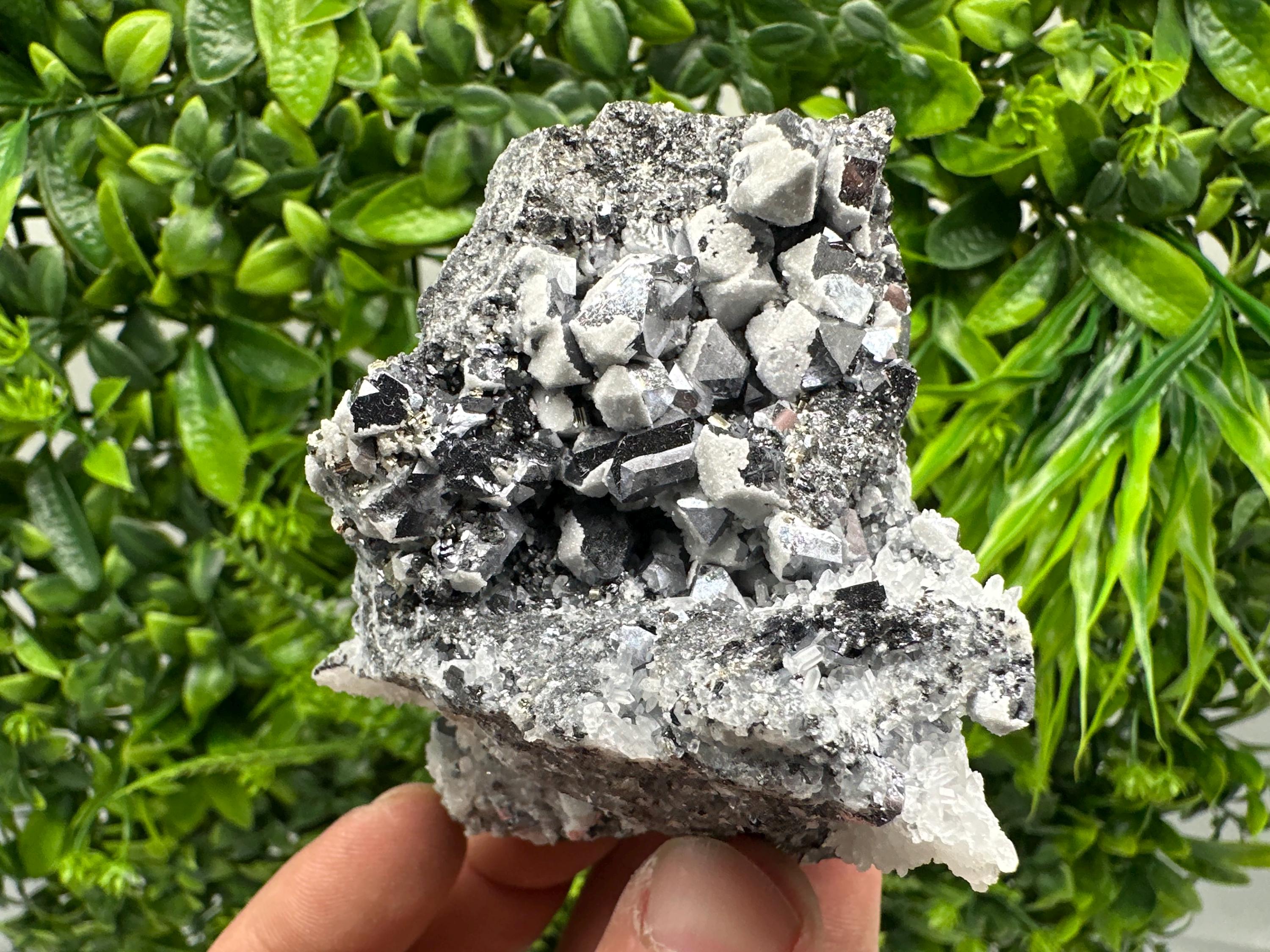 Skeletal Galena Mineral Specimen, Drujba Mine Bulgaria