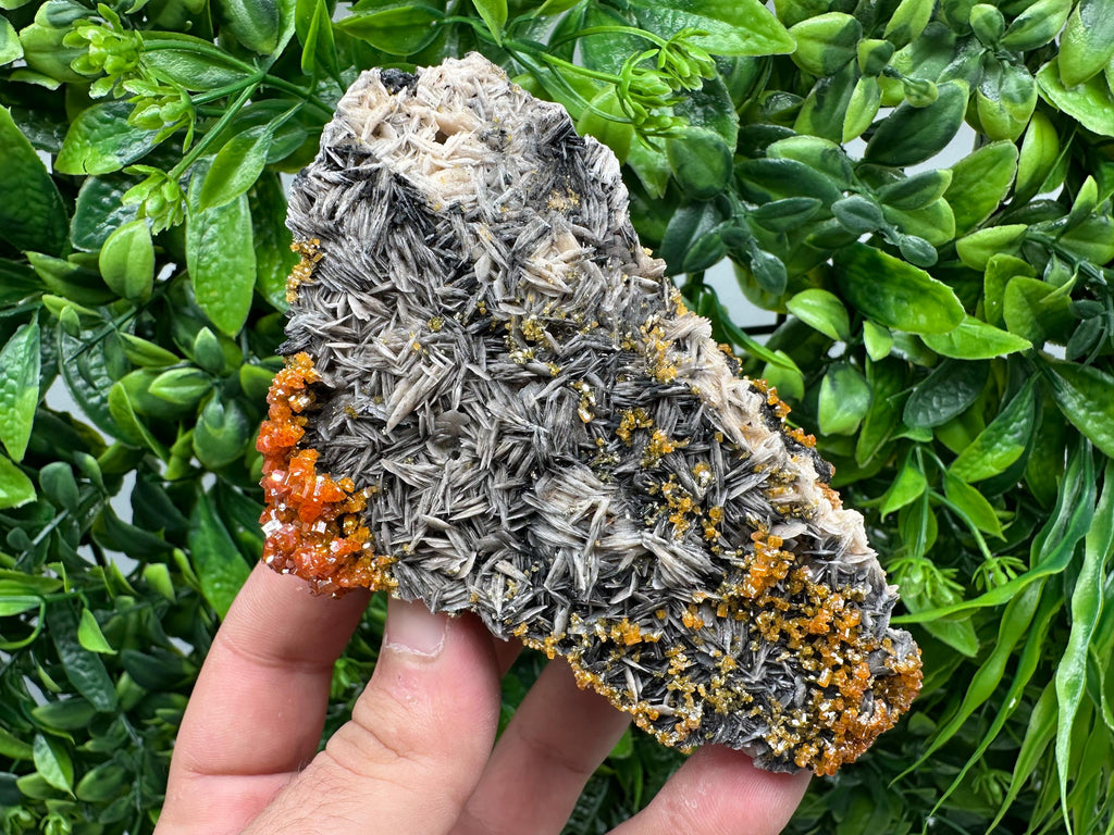Red Vanadinite Crystal Cluster on Barite with Goethite, Morocco
