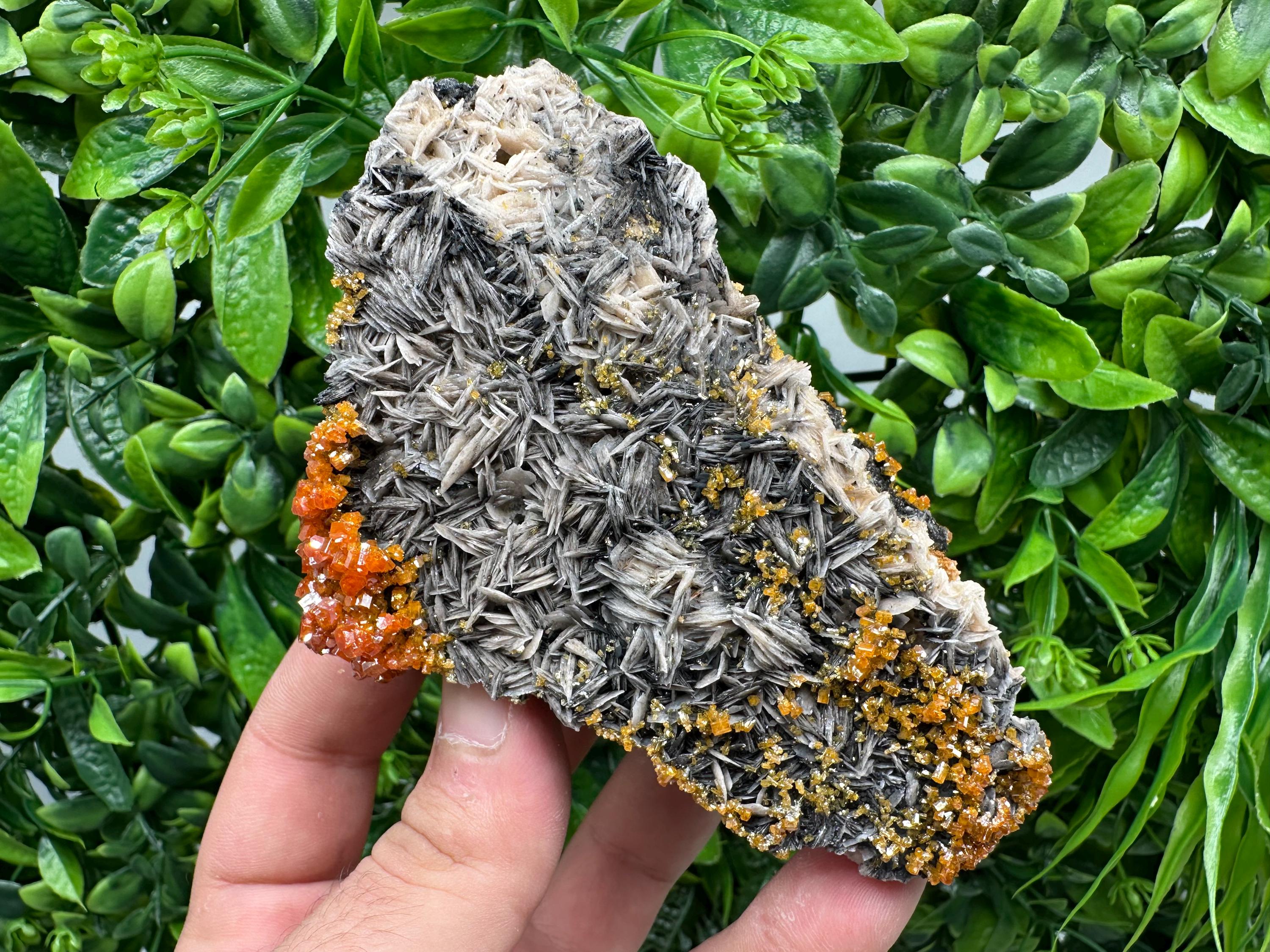 Red Vanadinite Crystal Cluster on Barite with Goethite, Morocco