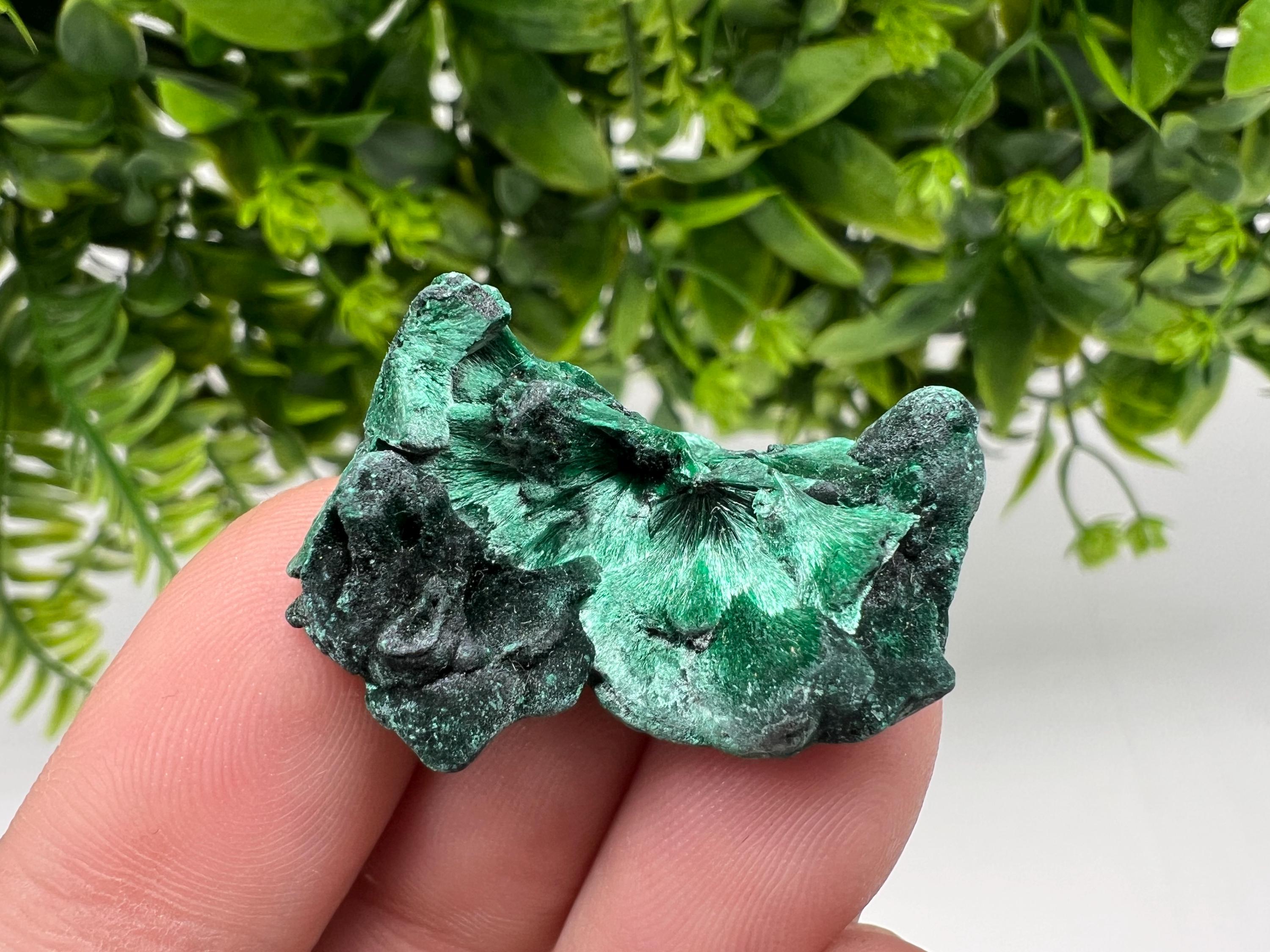 Malachite Crystal from Congo,Minerals,Crystals from Congo,Green Malachite, Malachite,Natural Malachite,Malachite Stone,Chakra, Specimens