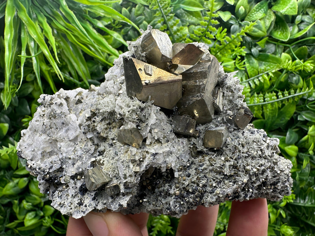 Crystallized Pyrite on Quartz, Madan Bulgaria, Home Decor