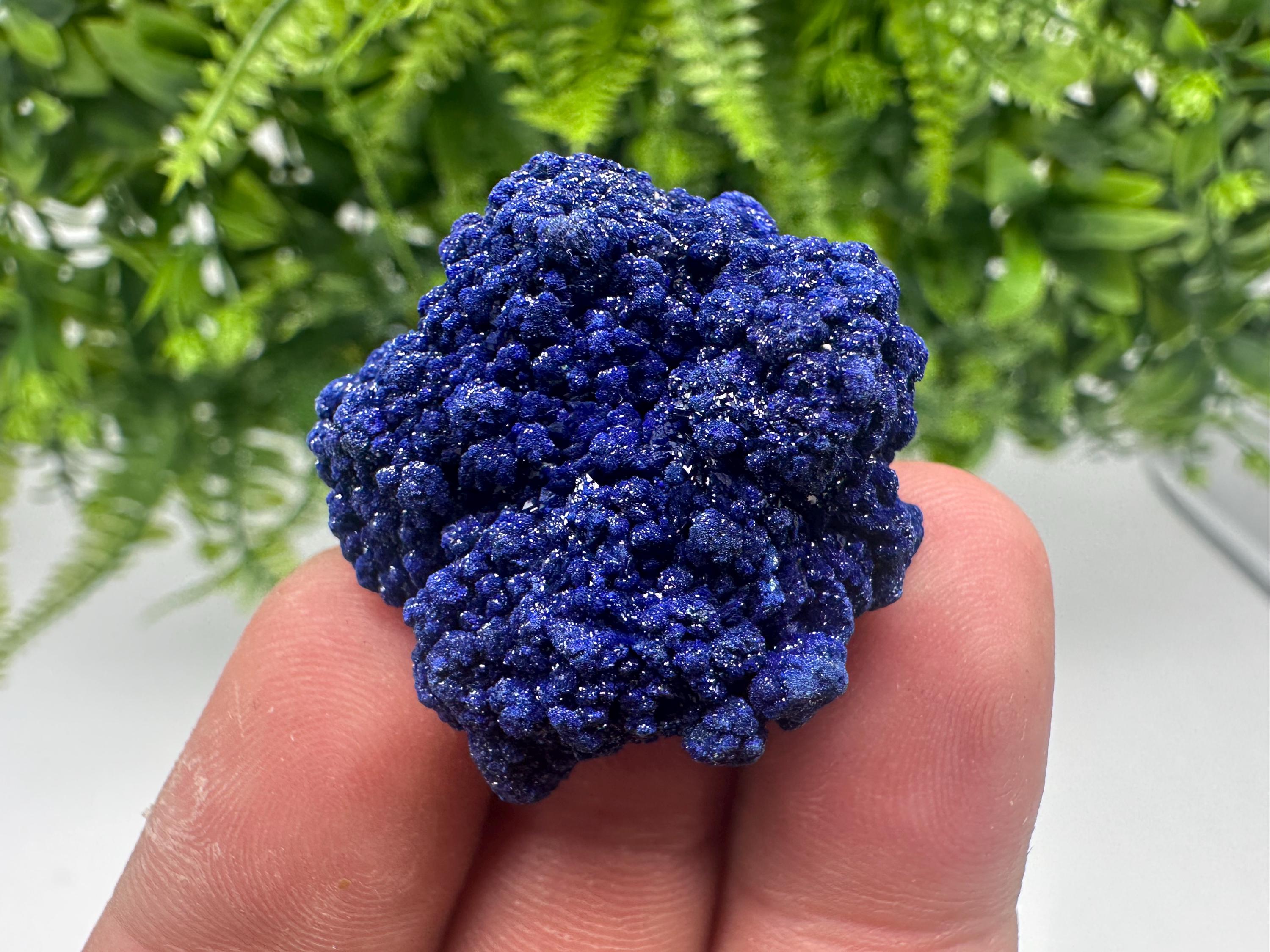 Crystallized Azurite-Kerrouchen,Morocco-Blue Azurite Specimen-High Quality Blue Azurite-Azurite Mineral Specimen, gemmy,lustrous of Azurite