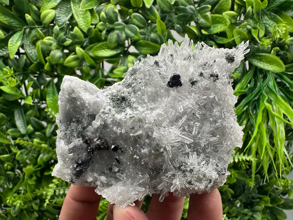 Sphalerite on Green Quartz, Borieva Mine Mineral Specimen