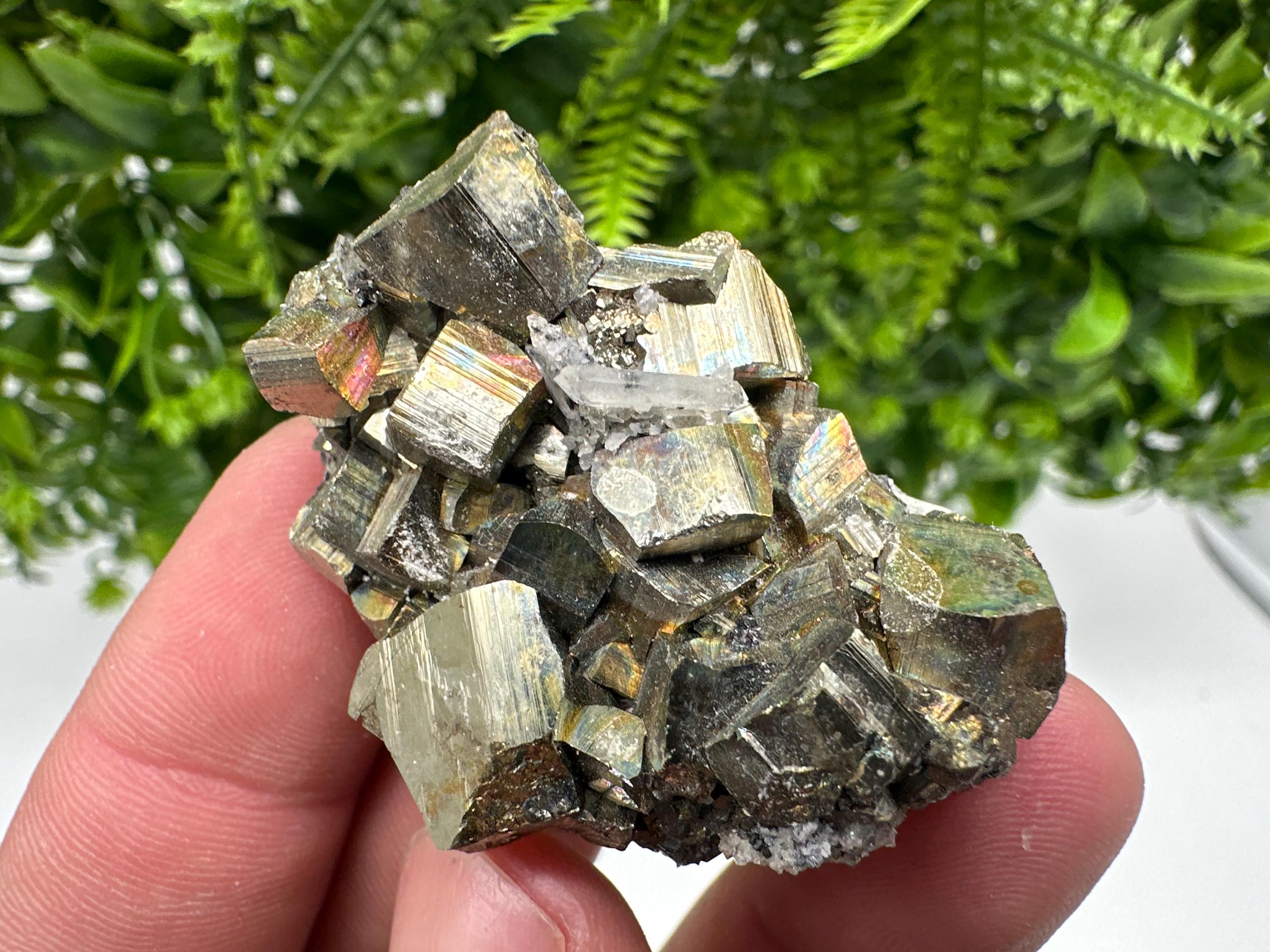 Rare Rainbow Pyrite Cluster: Borieva Mine, Bulgaria