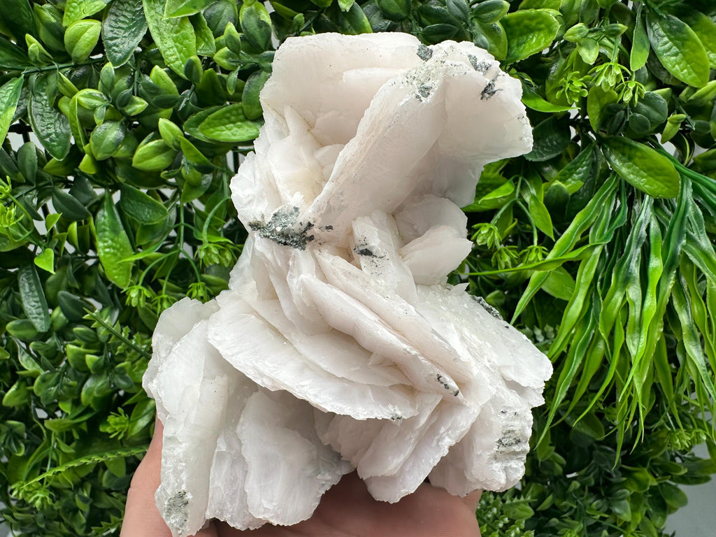Mangano Calcite Wings on Chlorite Matrix, Bulgarian Mineral Specimen