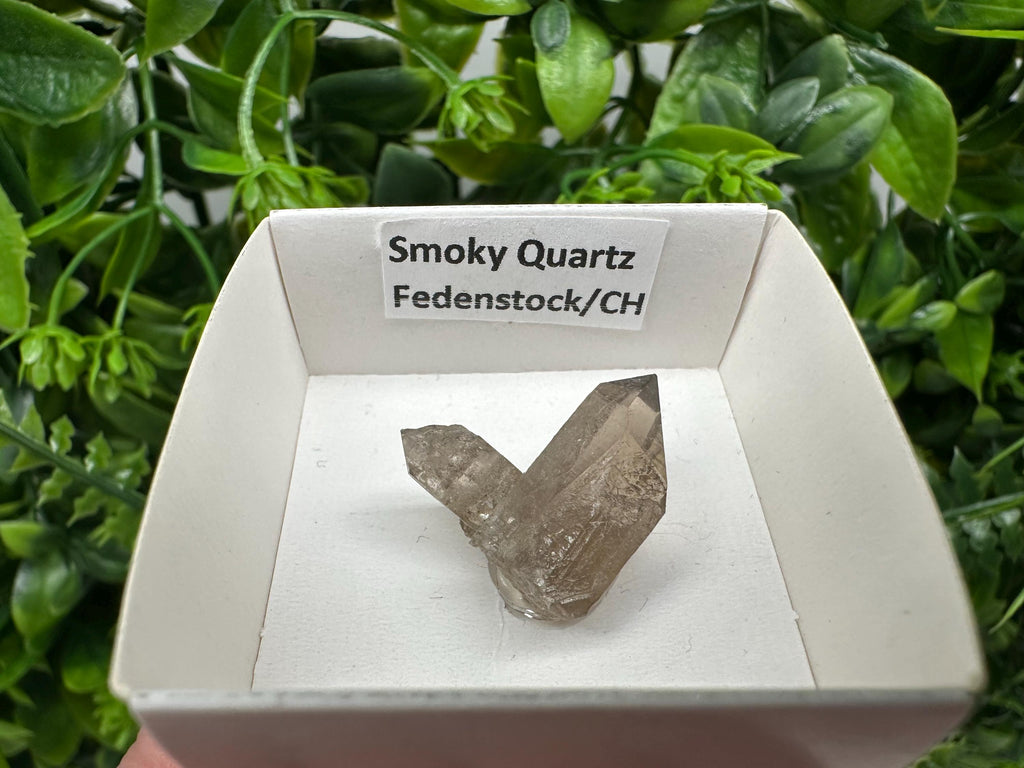 Rare Smoky Quartz Point, Fedenstock Switzerland Mineral Specimen