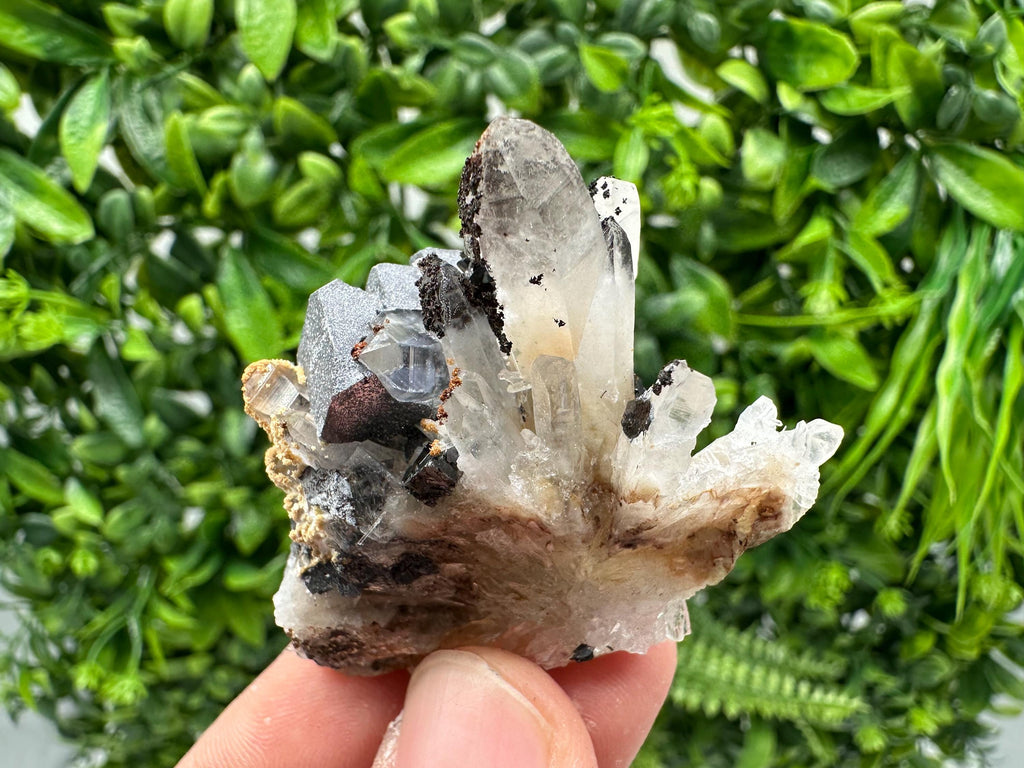 Wonderful Sphalerite Chalcopyrite on  Quartz whit Galena feom 9 th September mine,Bulgaria,natural,collection mineral specimen,gift