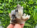 Wonderful Sphalerite Chalcopyrite on  Quartz whit Galena feom 9 th September mine,Bulgaria,natural,collection mineral specimen,gift
