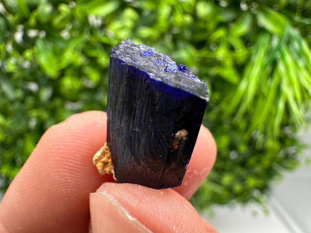 Crystallized Azurite-Kerrouchen,Morocco-Blue Azurite Specimen-High Quality Blue Azurite-Azurite Mineral Specimen, gemmy,lustrous of Azurite