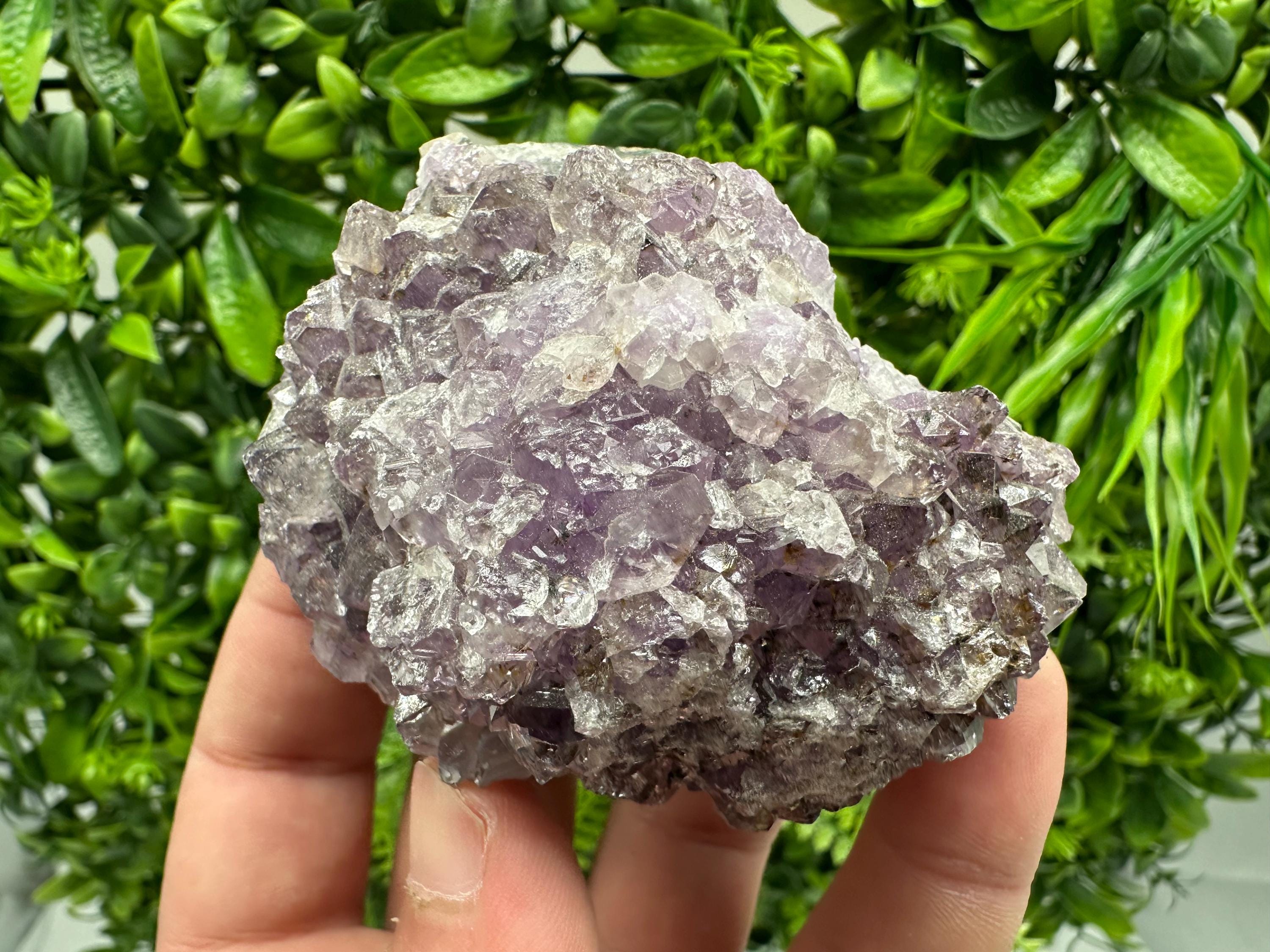 Brazilian Amethyst Cluster, Purple Quartz Crystal Specimen