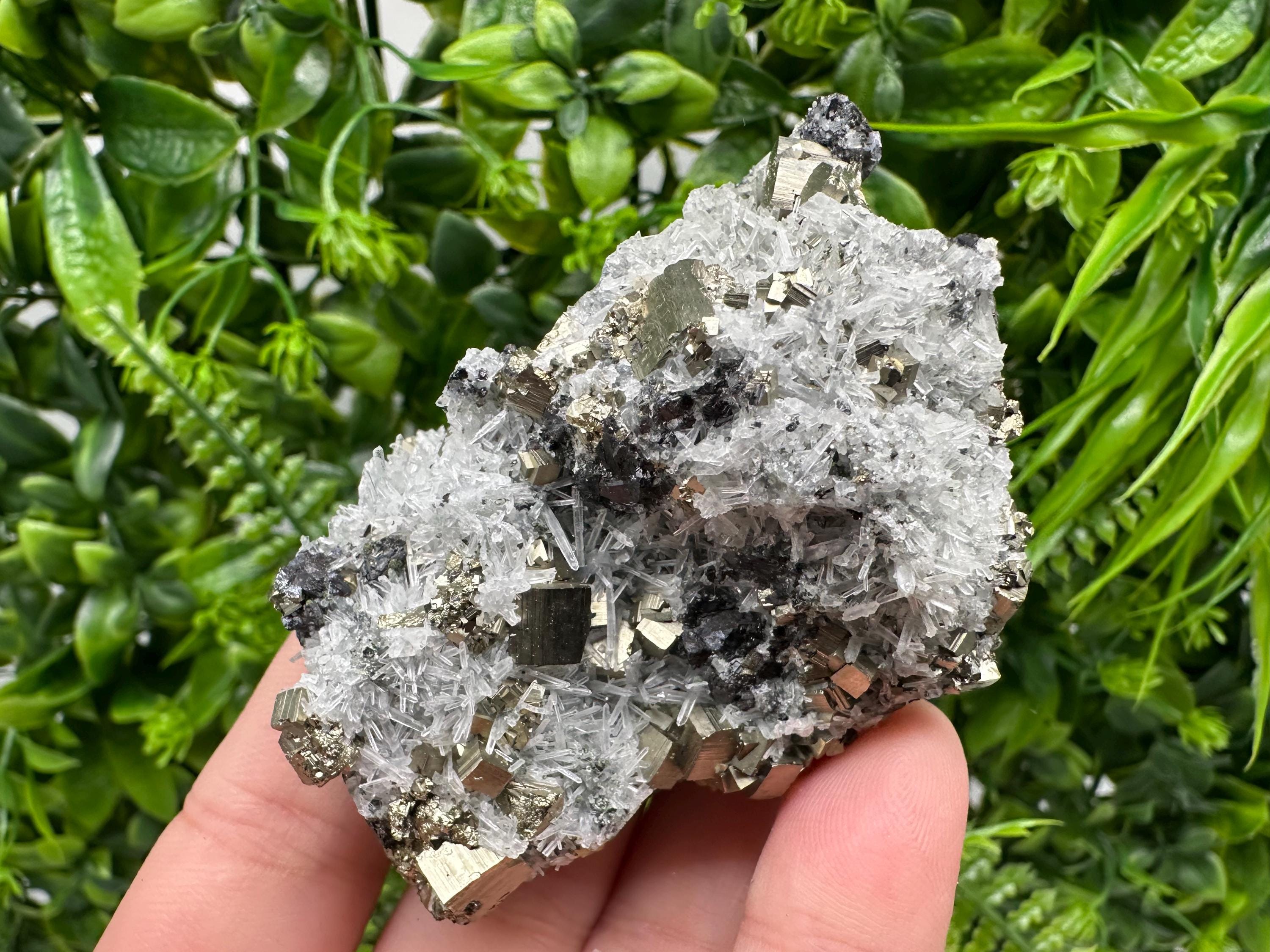Pyrite on Green Quartz Mineral Specimen, Borieva Bulgaria