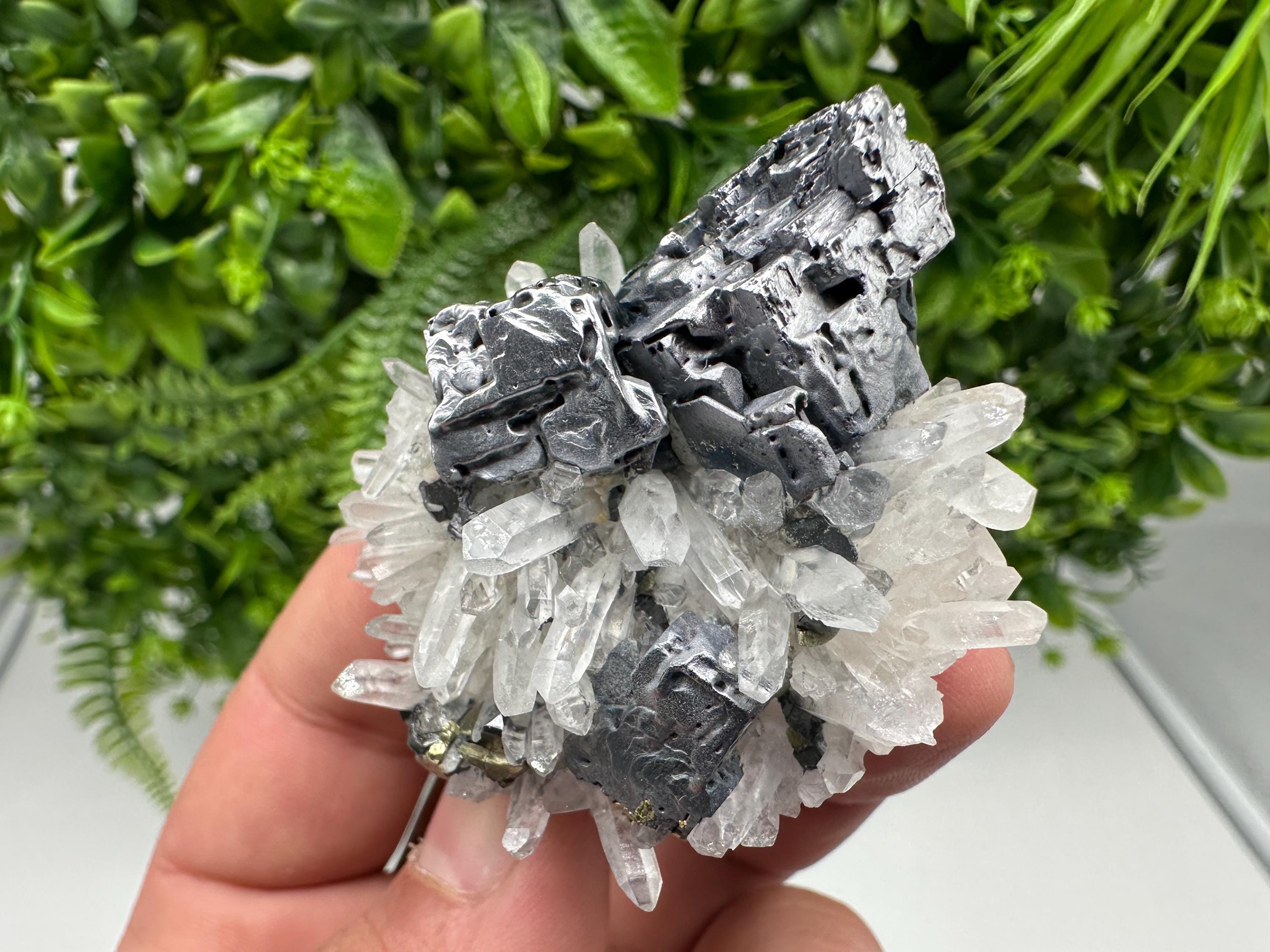 Aesthetic Natural shiny Galena whit Siderite and Quartz from 9 th September mine,Bulgaria,collection specimen,rare galena,Galena cluster