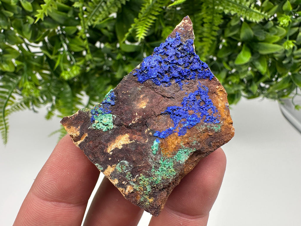 Moroccan Azurite Malachite Mineral Specimen, Rare Crystal