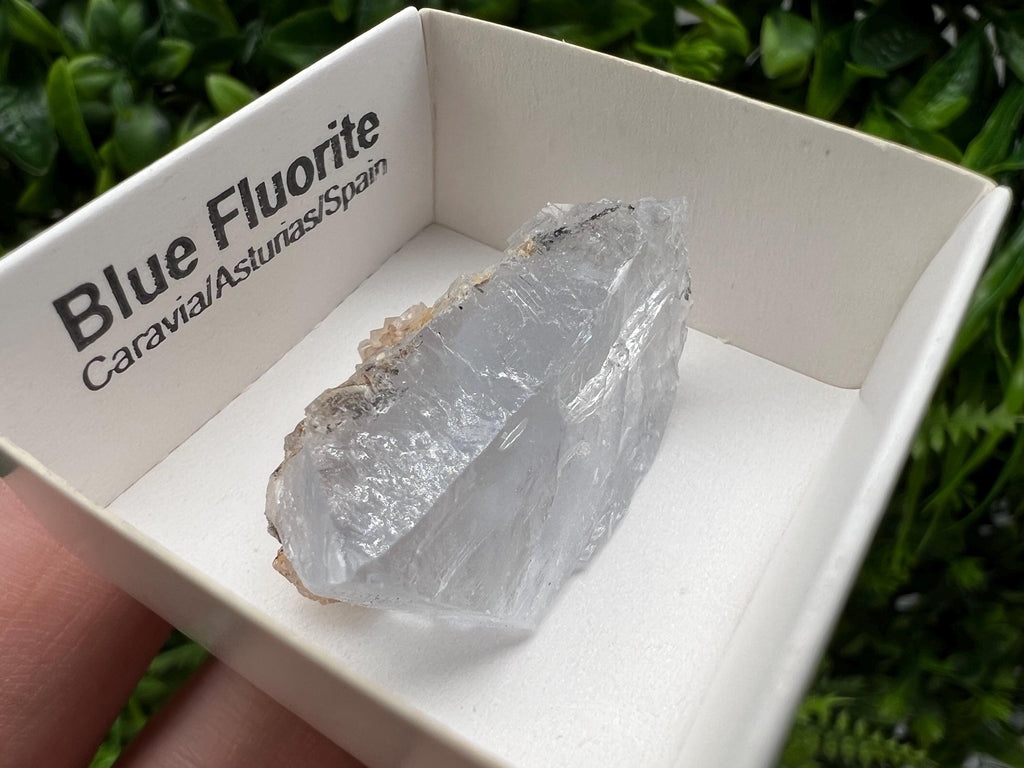 Blue Fluorite Mineral Specimen: Spain Collection (3.5/2.5cm)