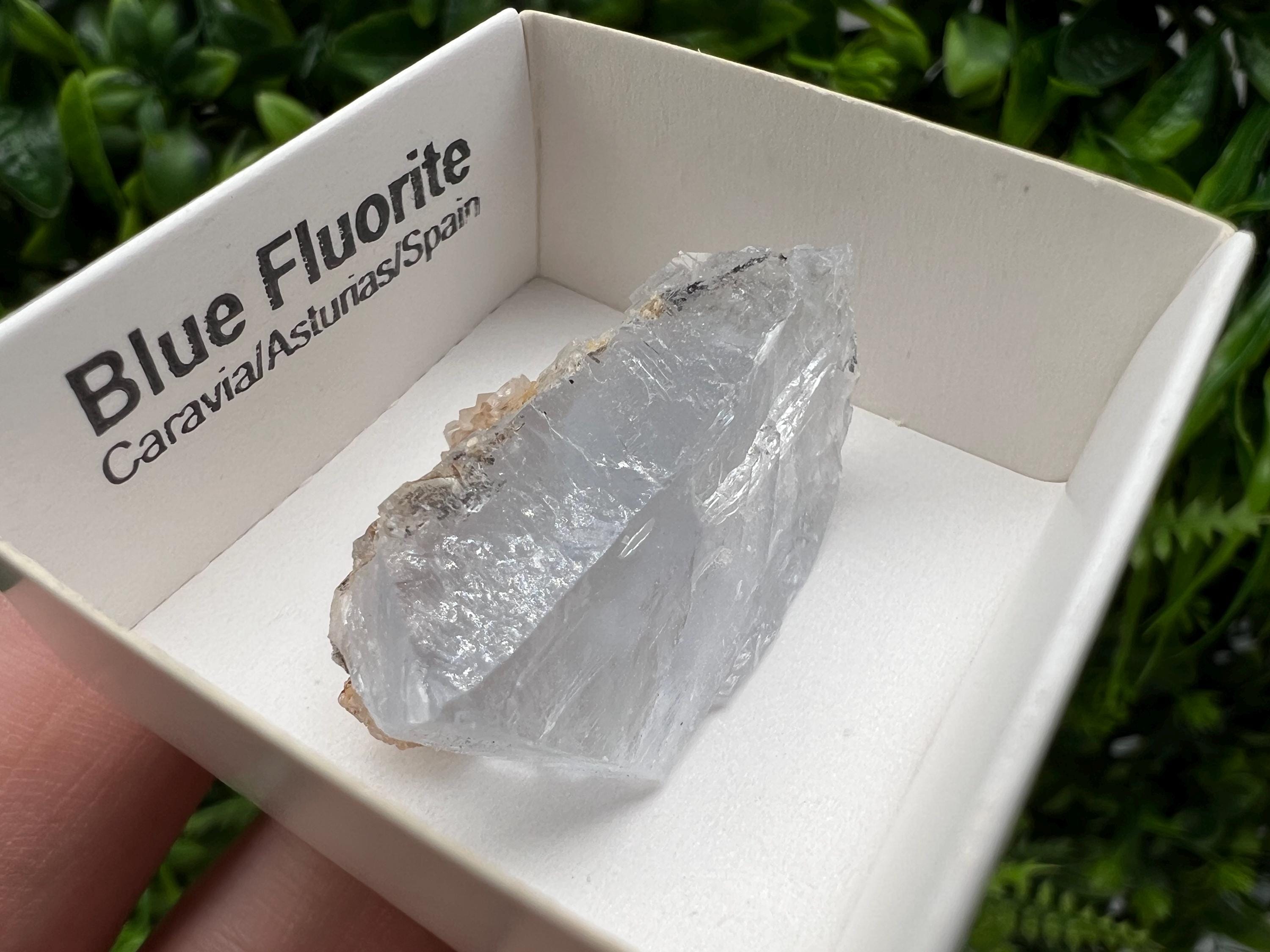Blue Fluorite Mineral Specimen: Spain Collection (3.5/2.5cm)