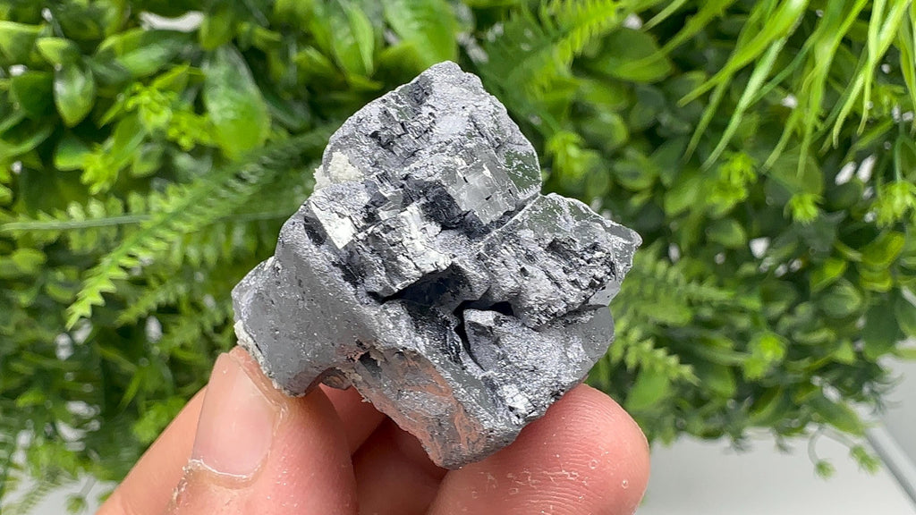 Shiny Galena Cluster, Natural Minerals, Borieva Mine, Bulgaria