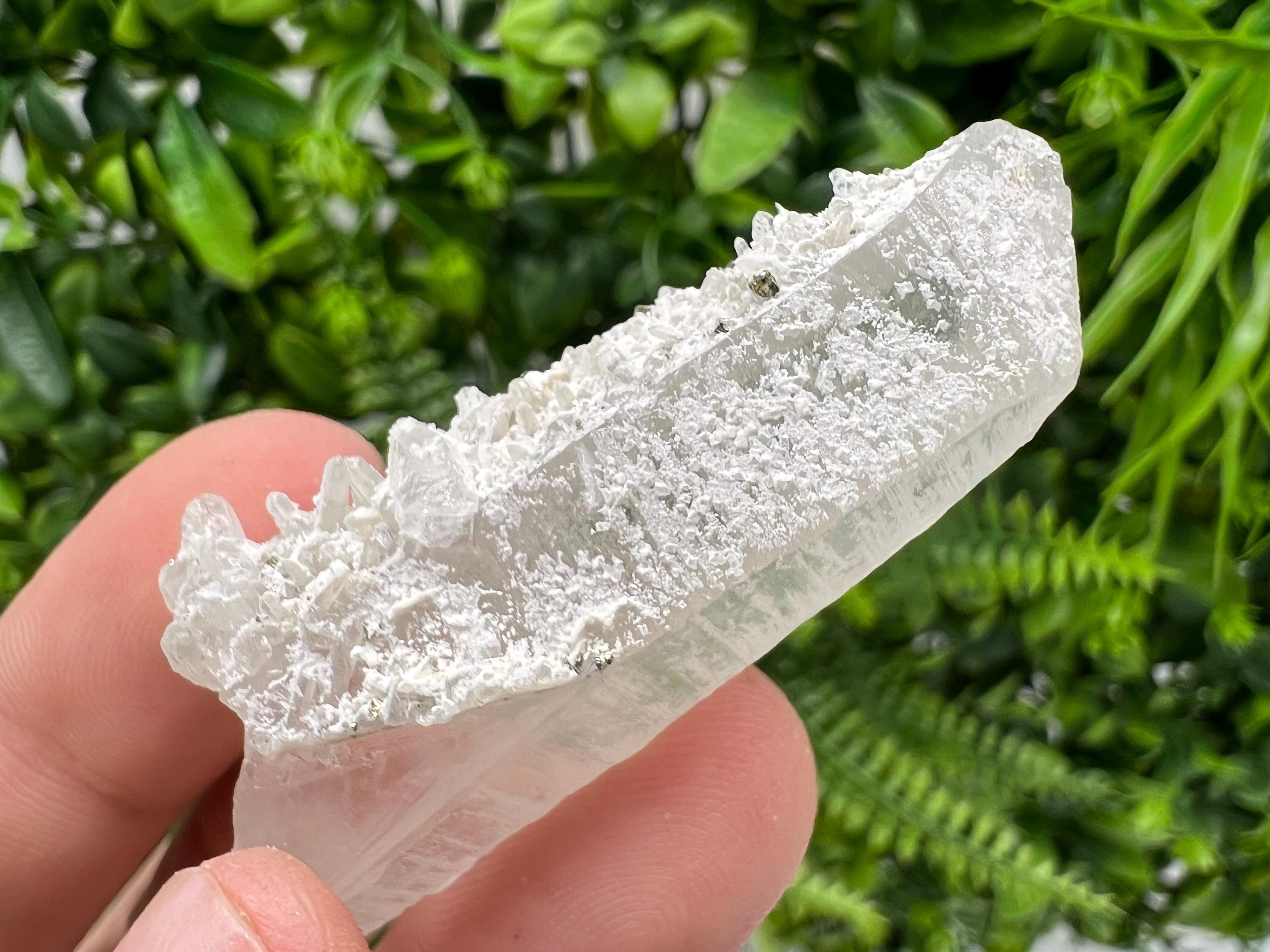 Transparent Quartz on Chlorite Matrix, Borieva Mine, Bulgaria