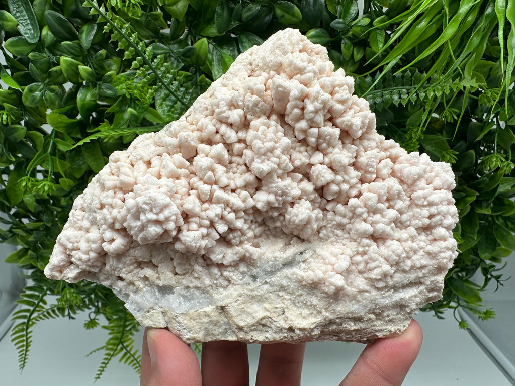 Pink Manganocalcite Mineral Specimen: Krushev Dol Mine, Bulgaria