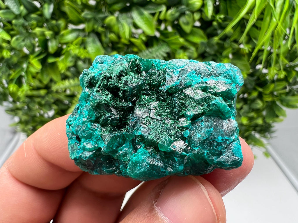Stunning Green Dioptase from Sanda Hills,Mindouli,Pool Department,Mindouli District,Congo,green Dioptase,Dioptas Crystal,Dioptase collecting