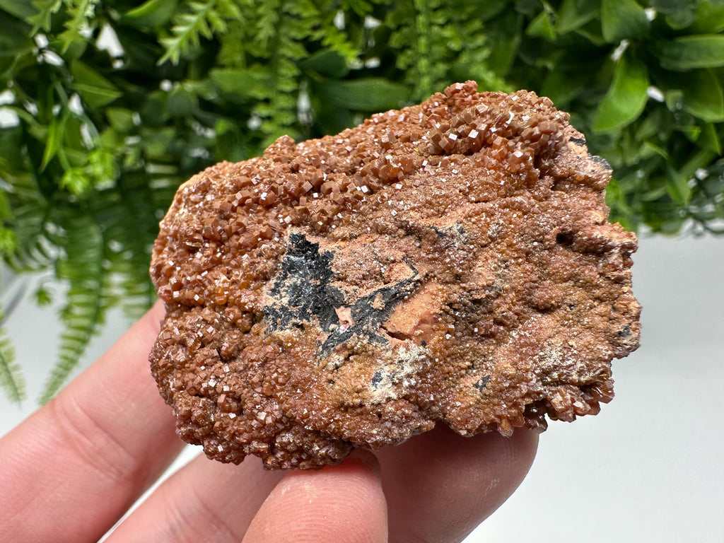 Red Vanadinite on Matrix from Marocco,crystal minerals Speciment cluster Vanadinite crystal Vanadinite Geology Vanadinite cluster minerals