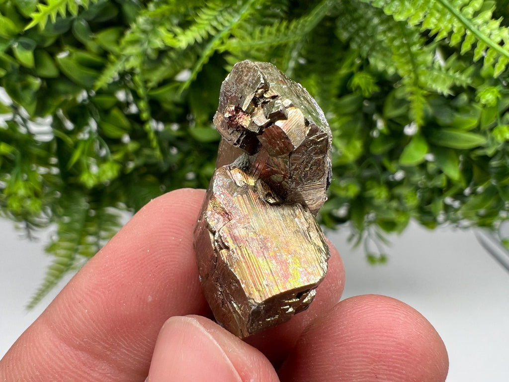 Rainbow Pyrite Hematite Cluster, Borieva Mine, Bulgaria