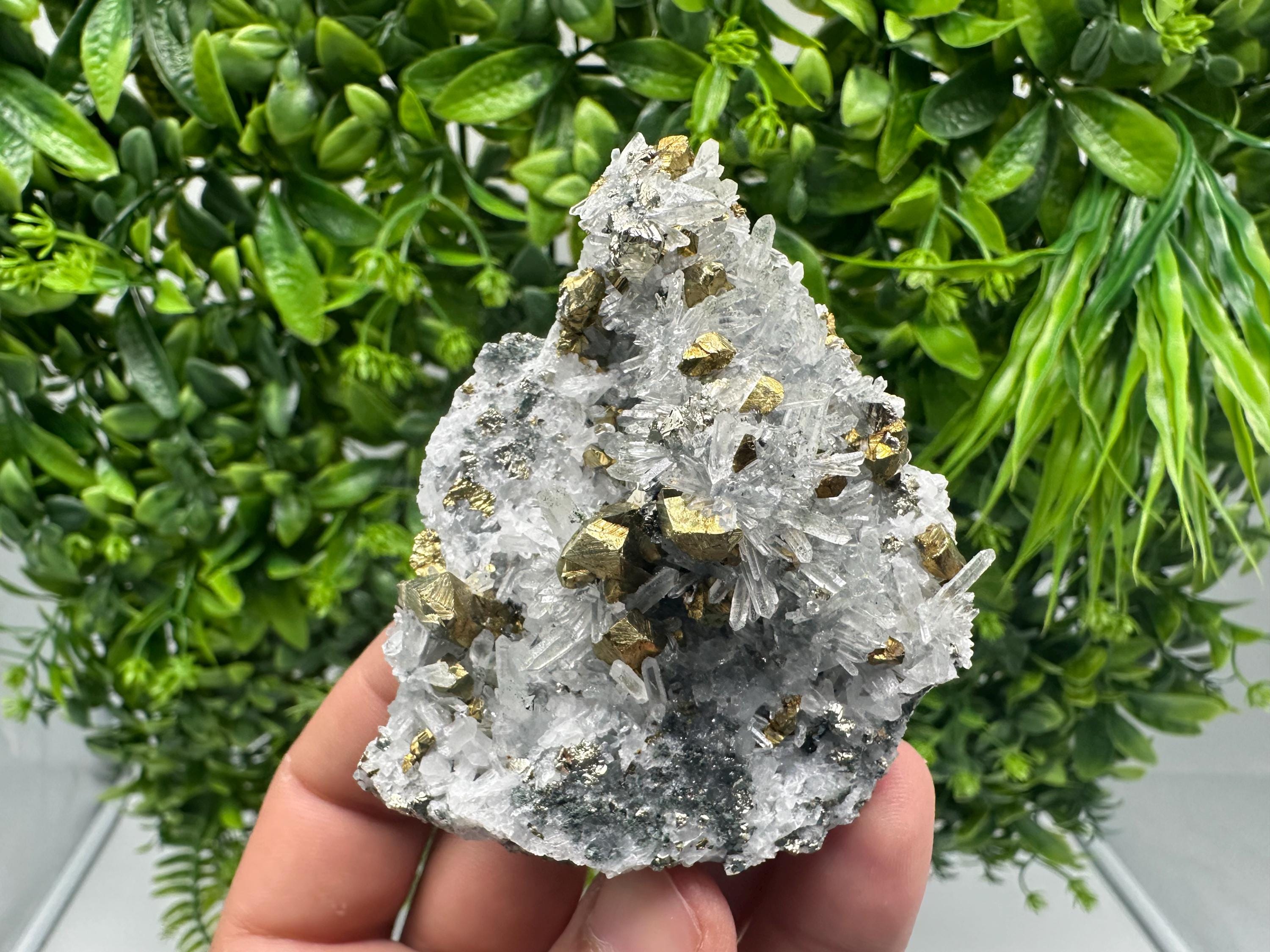 Chalcopyrite on Quartz, Chlorite Mineral Specimen, Bulgaria