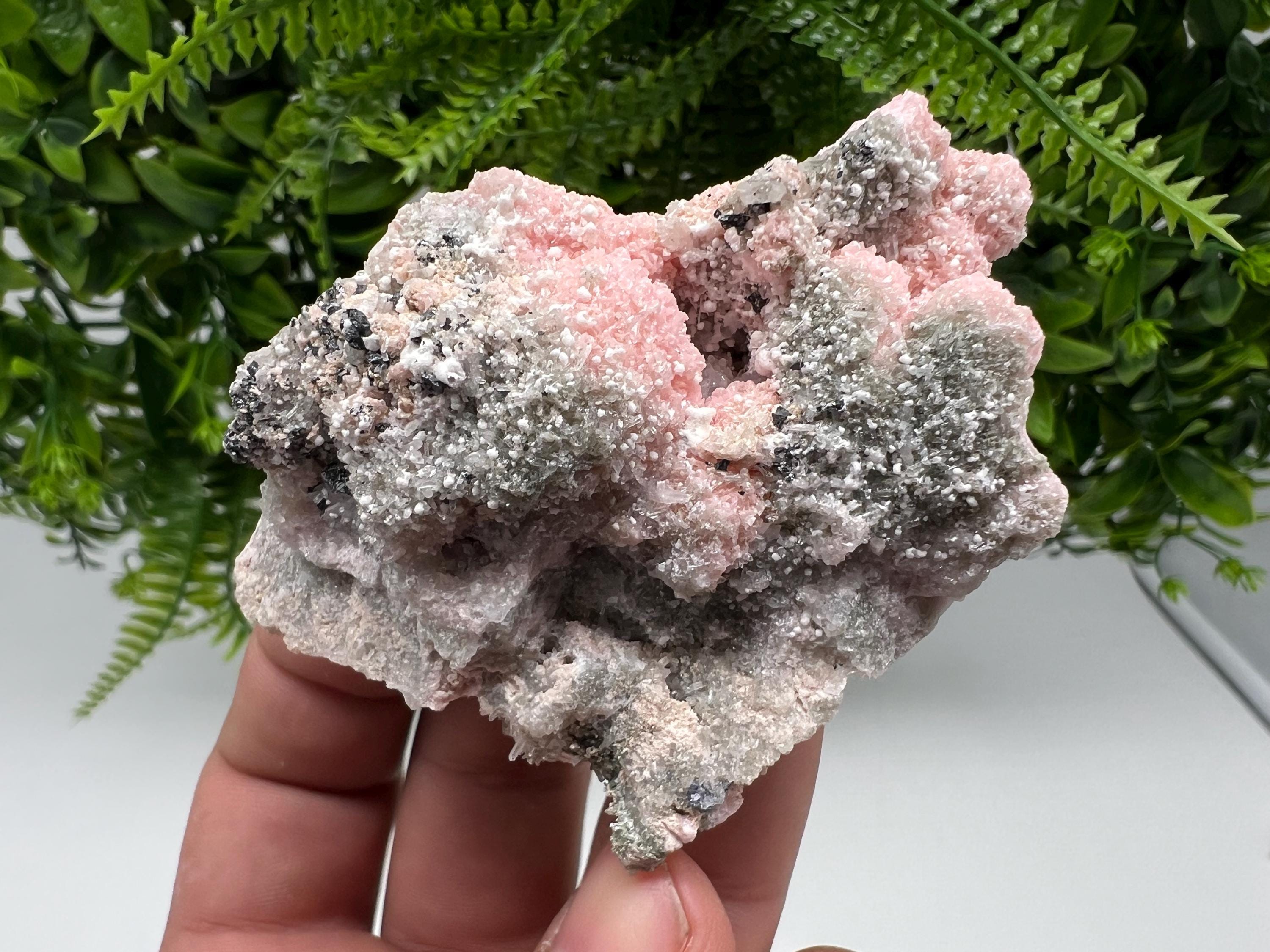 RARE Rhodochrosite with Calcite: Starnica Mine, Bulgaria