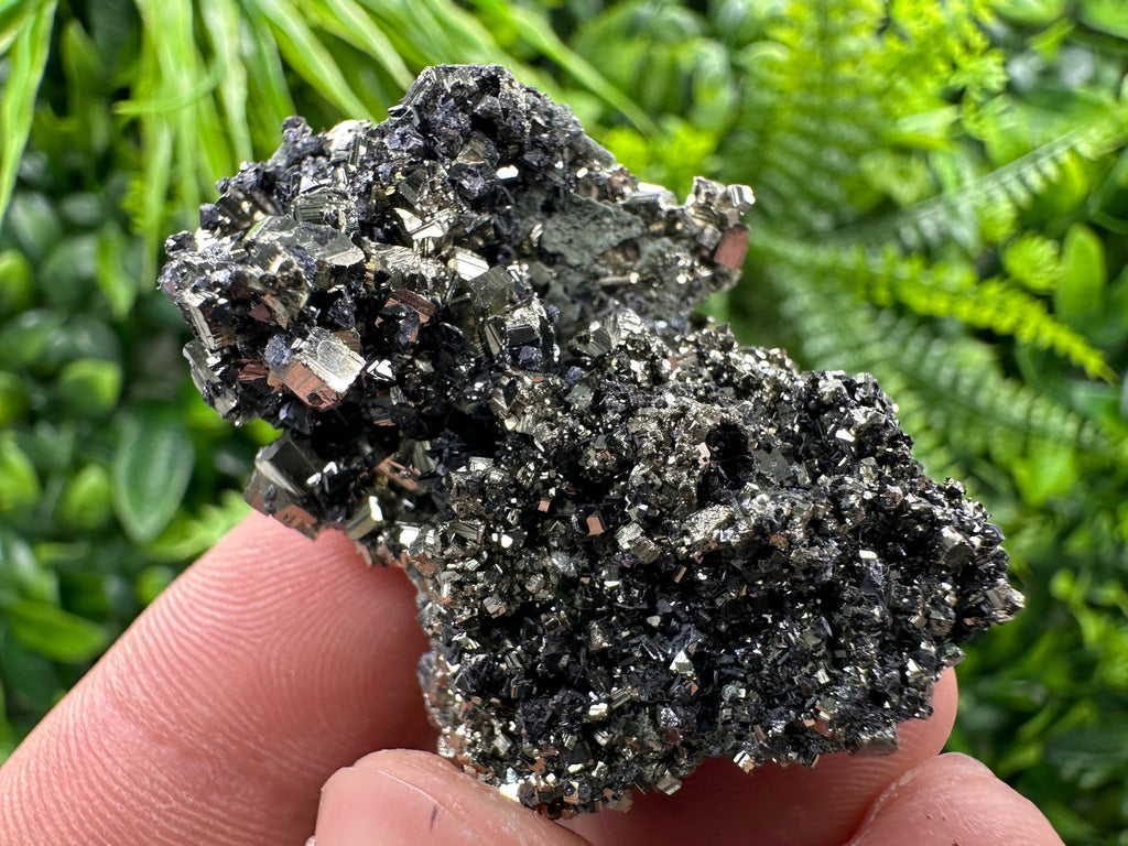 Pyrite on Quartz Needles: Borieva Mine Bulgaria Crystal Decor