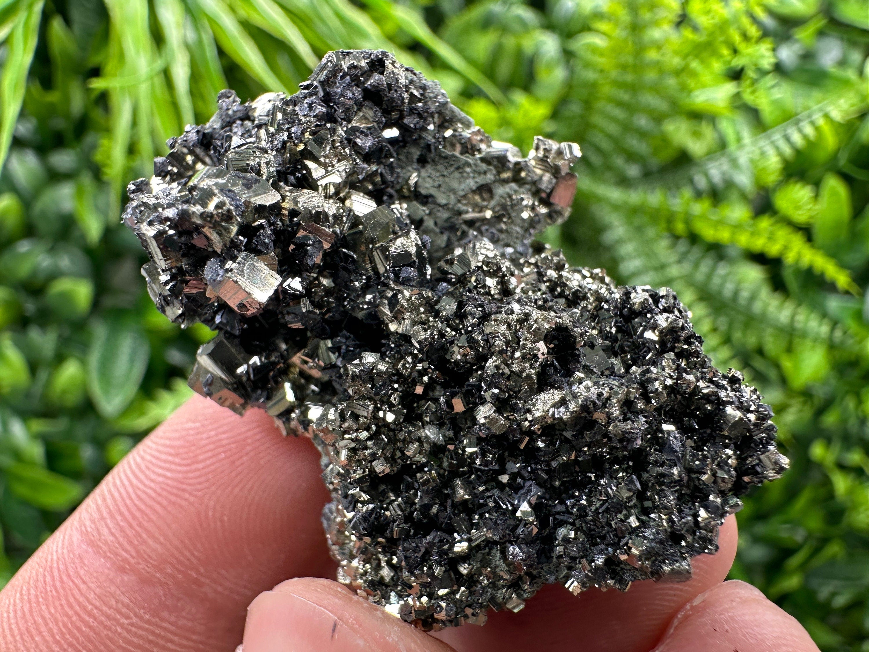 Pyrite on Quartz Needles: Borieva Mine Bulgaria Crystal Decor