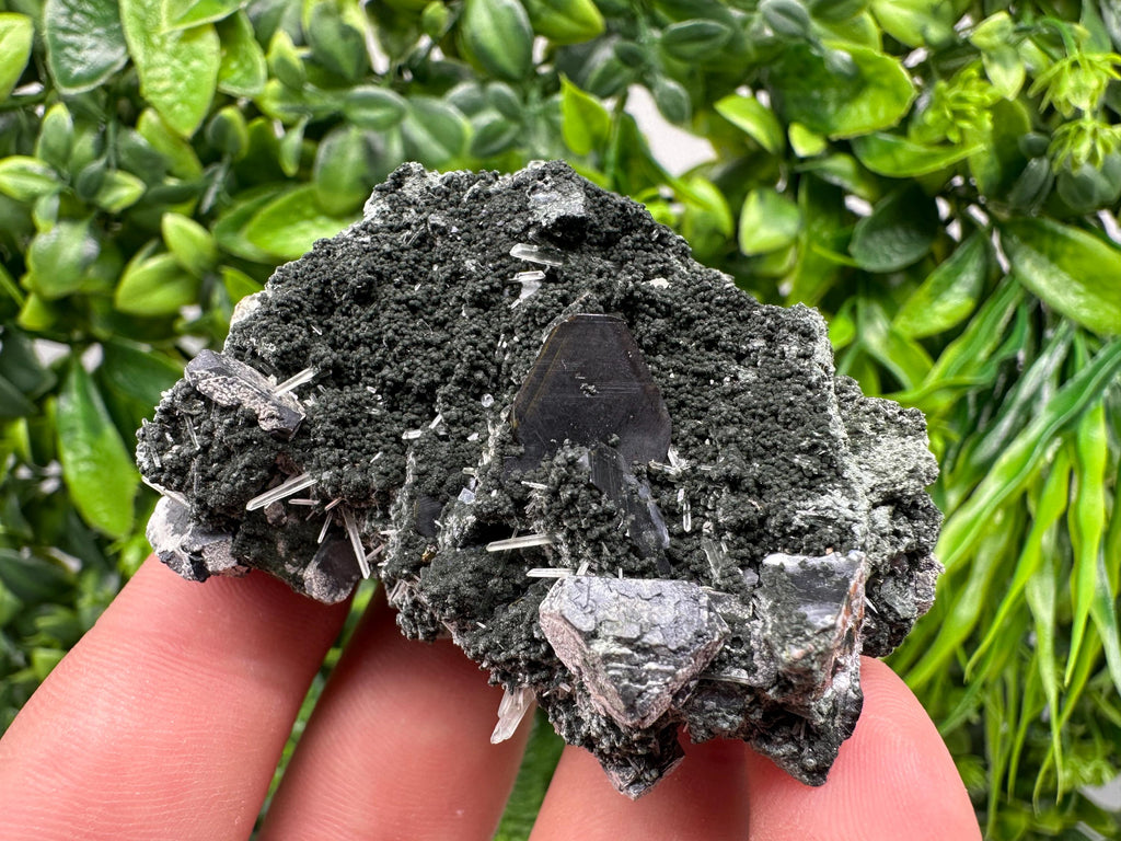 Sphalerite on Quartz, Epidote, Chlorite, Borieva Mine Mineral Specimen