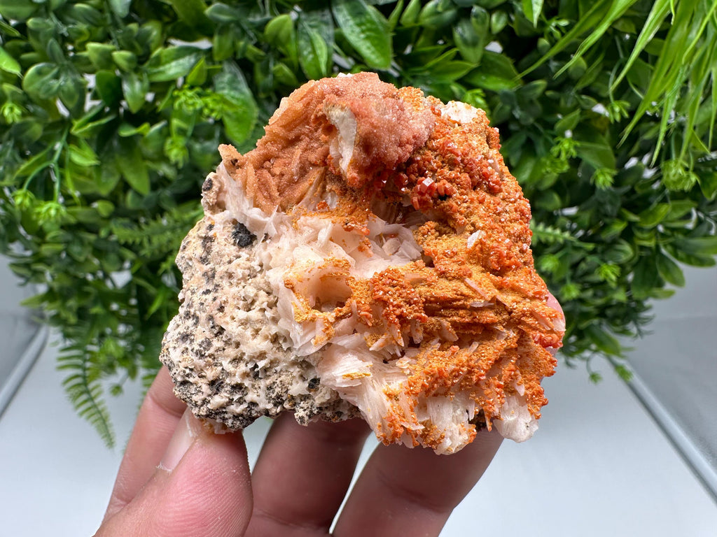 Red Vanadinite on Barite from Marocco,crystal minerals Speciment cluster Vanadinite crystal Vanadinite Geology Vanadinite cluster minerals