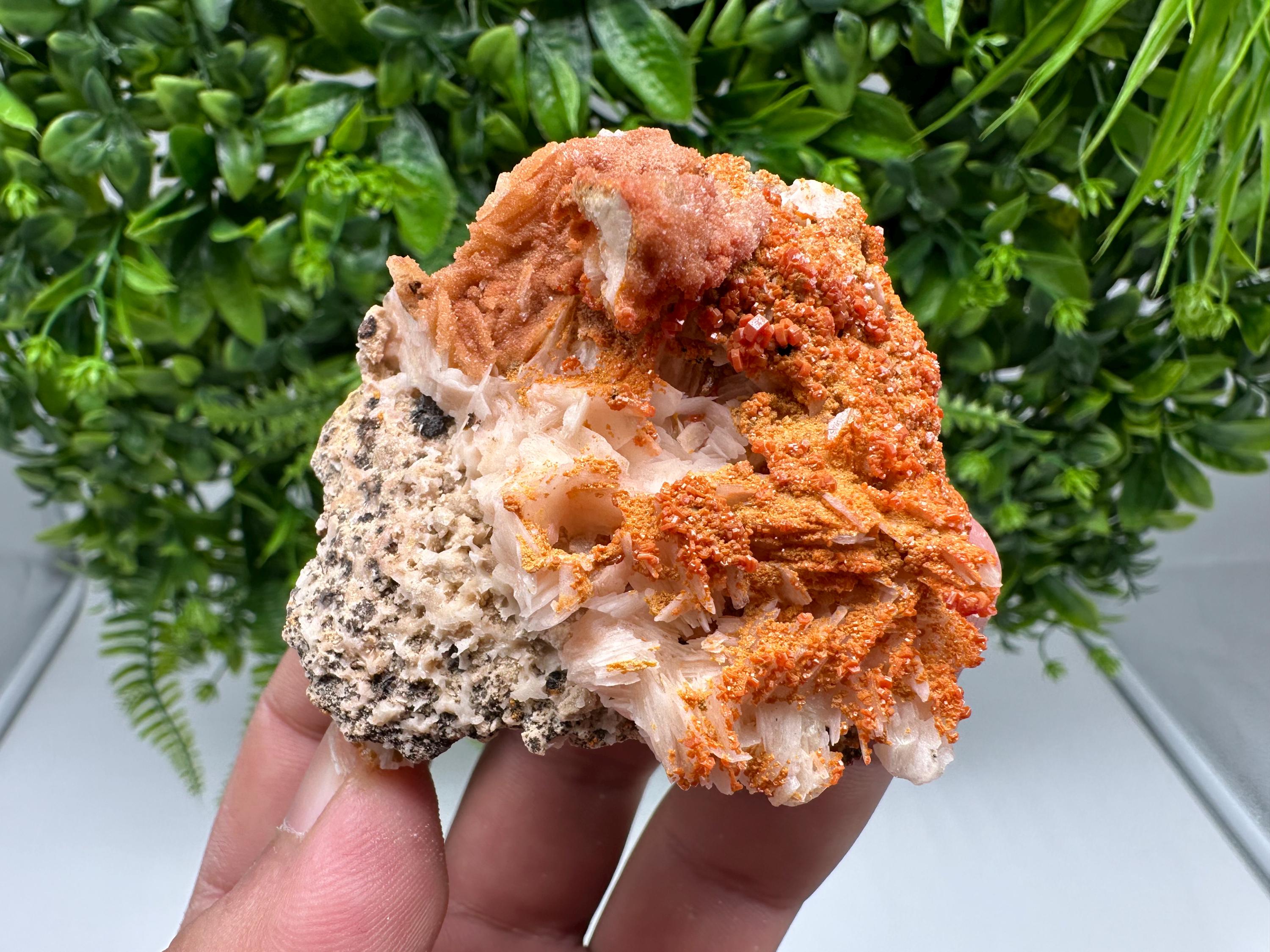 Red Vanadinite on Barite from Marocco,crystal minerals Speciment cluster Vanadinite crystal Vanadinite Geology Vanadinite cluster minerals