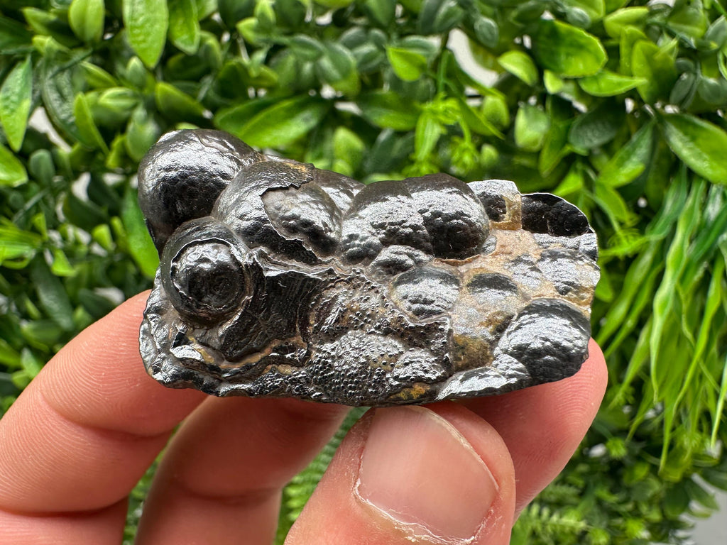 Botryoidal Black Hematite Specimen: Moroccan Crystal for Reiki Chakra