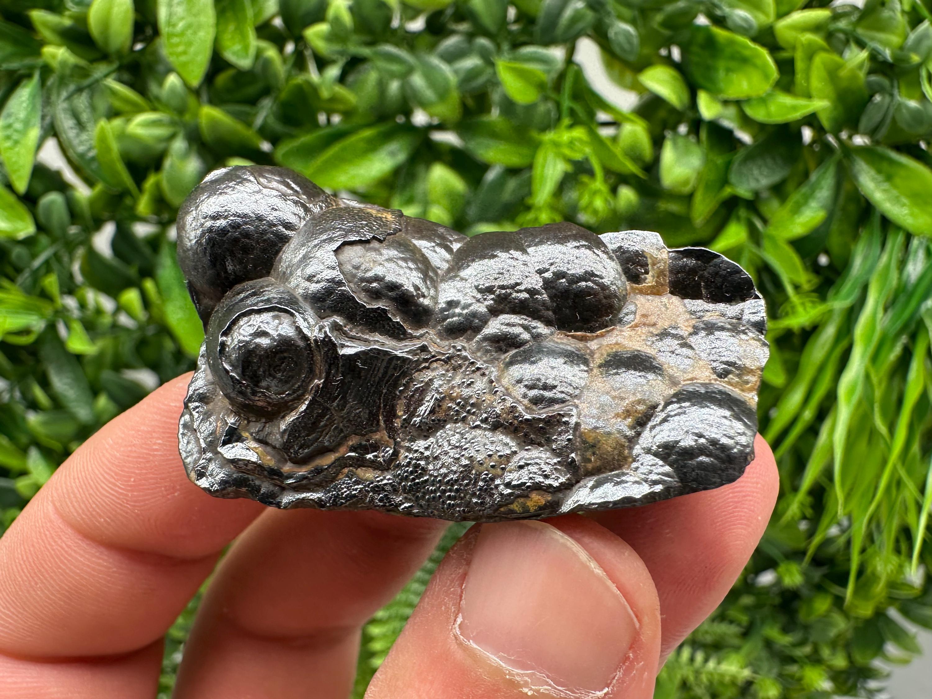 Botryoidal Black Hematite Specimen: Moroccan Crystal for Reiki Chakra