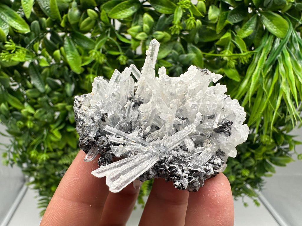 Sphalerite on Quartz: Rare Mineral Cluster from Borieva Mine, Bulgaria