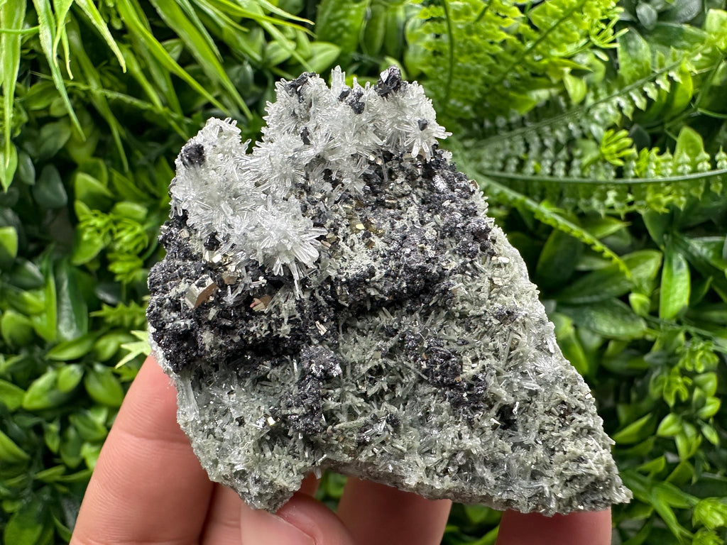 Sphalerite Pyrite on Quartz with Chlorite, Borieva Mine Mineral Specimen