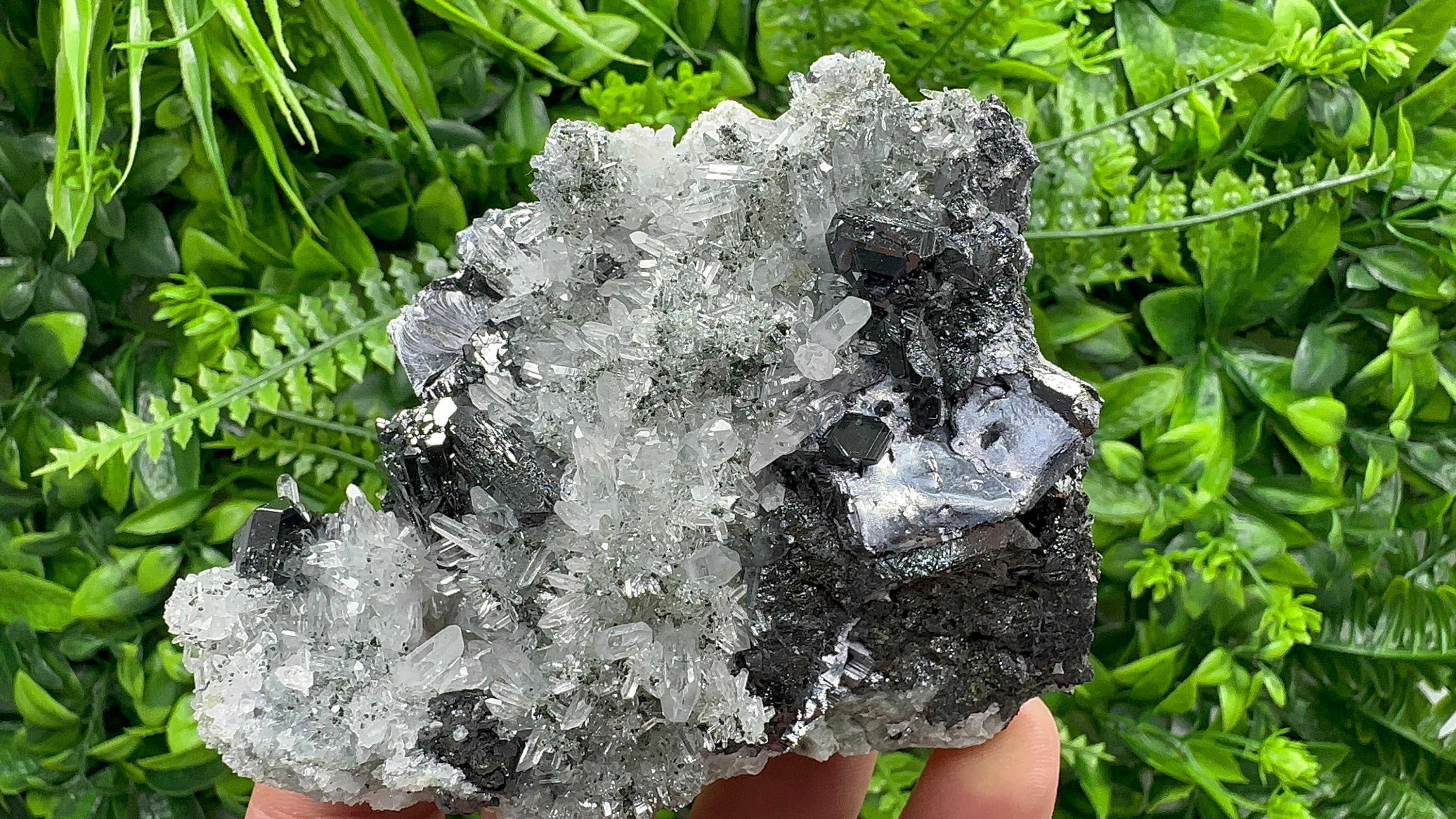 Sphalerite, Mirror Galena on Quartz, Bulgaria Minerals, Crystal Decor (9/7/7 cm)