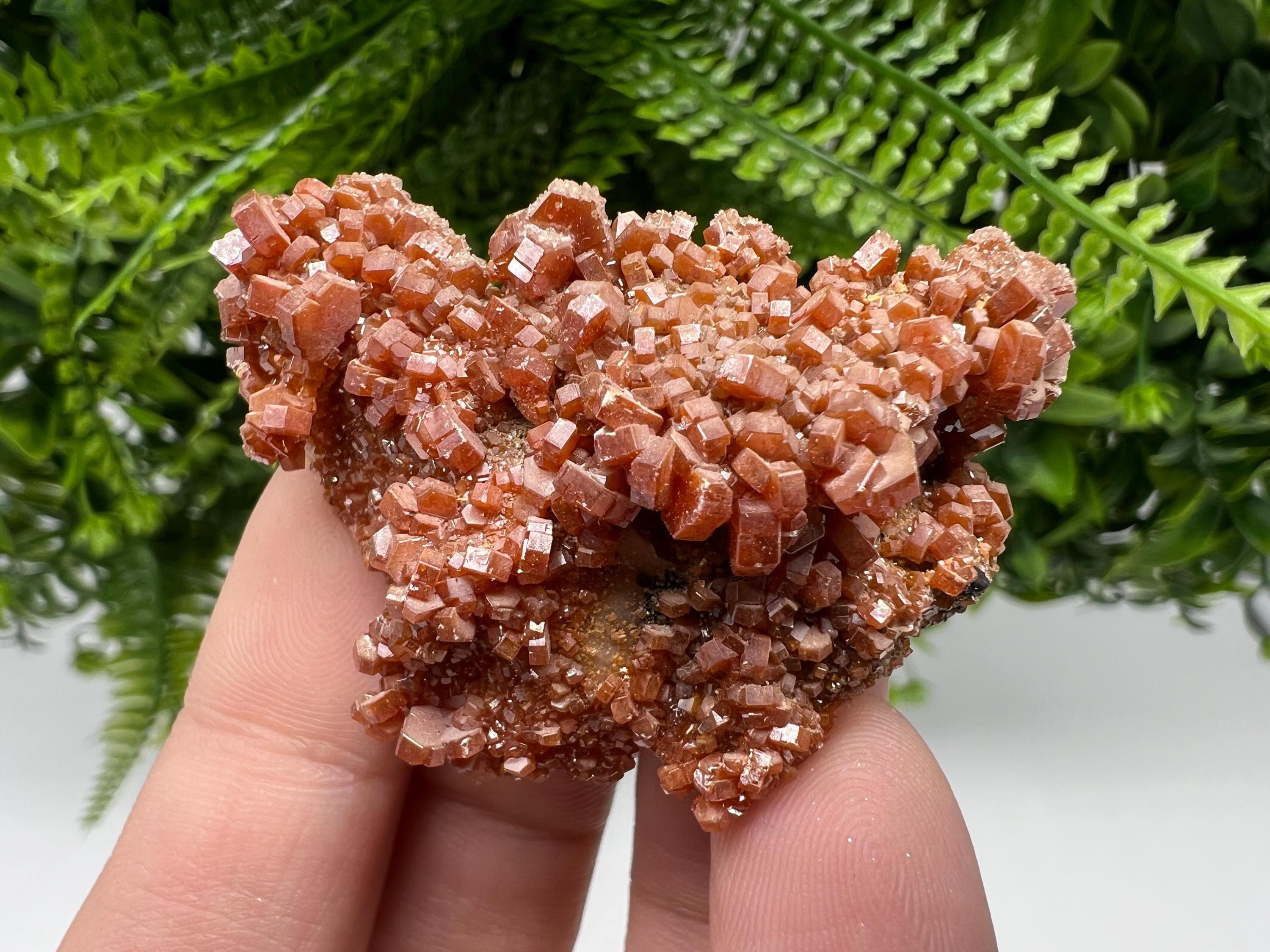 Red Vanadinite Crystal Cluster on Barite Matrix, Morocco Mineral Specimen