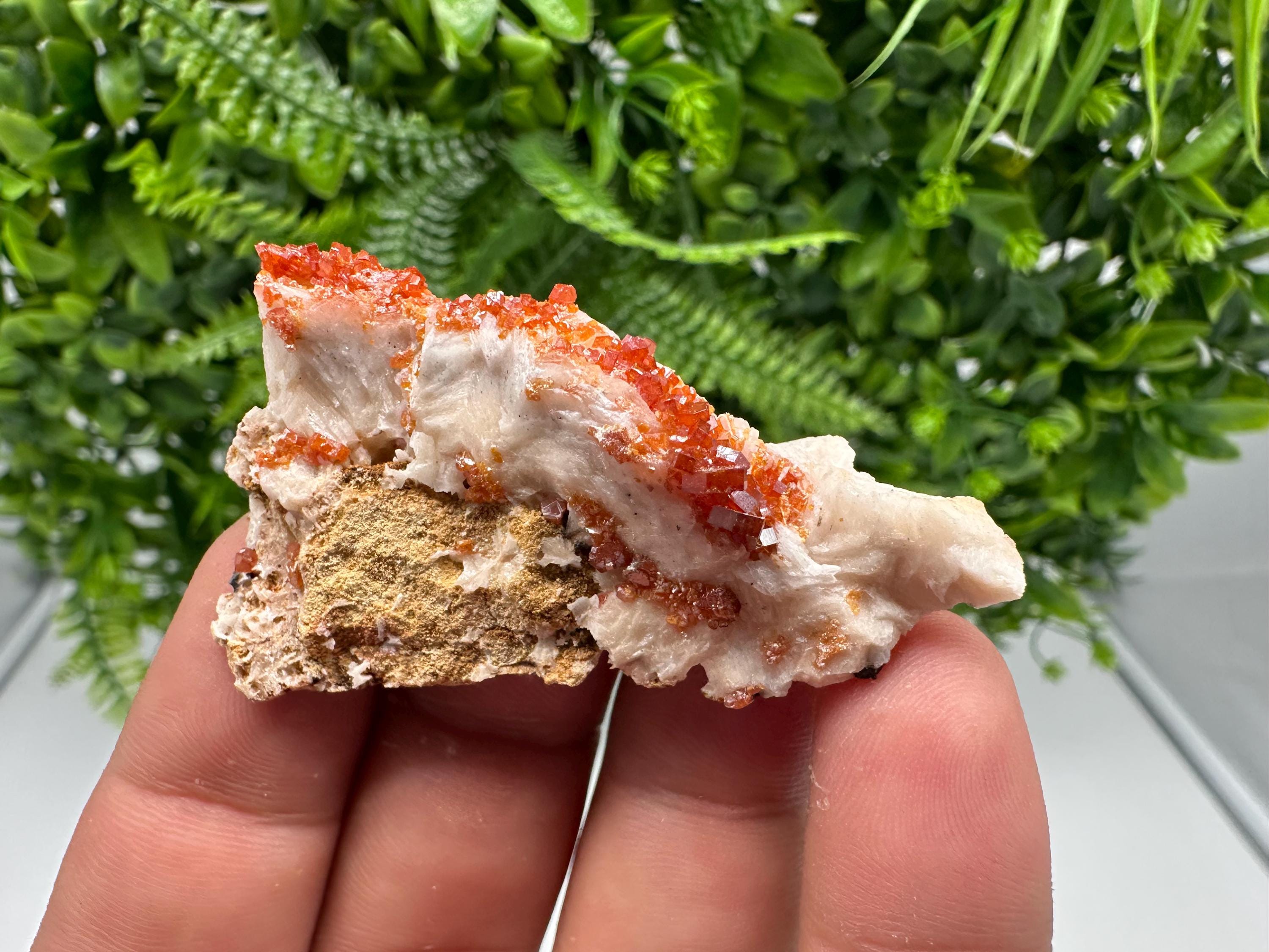 Red Vanadinite on Barite from Marocco,crystal minerals Speciment cluster Vanadinite crystal Vanadinite Geology Vanadinite cluster minerals