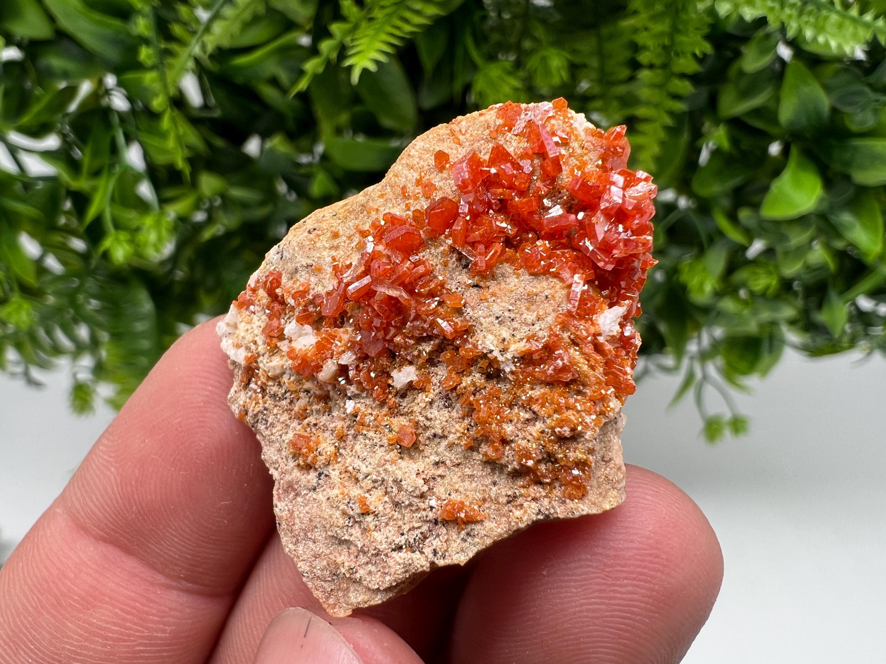 Red Vanadinite on Barite from Marocco,crystal minerals Speciment cluster Vanadinite crystal Vanadinite Geology Vanadinite cluster minerals